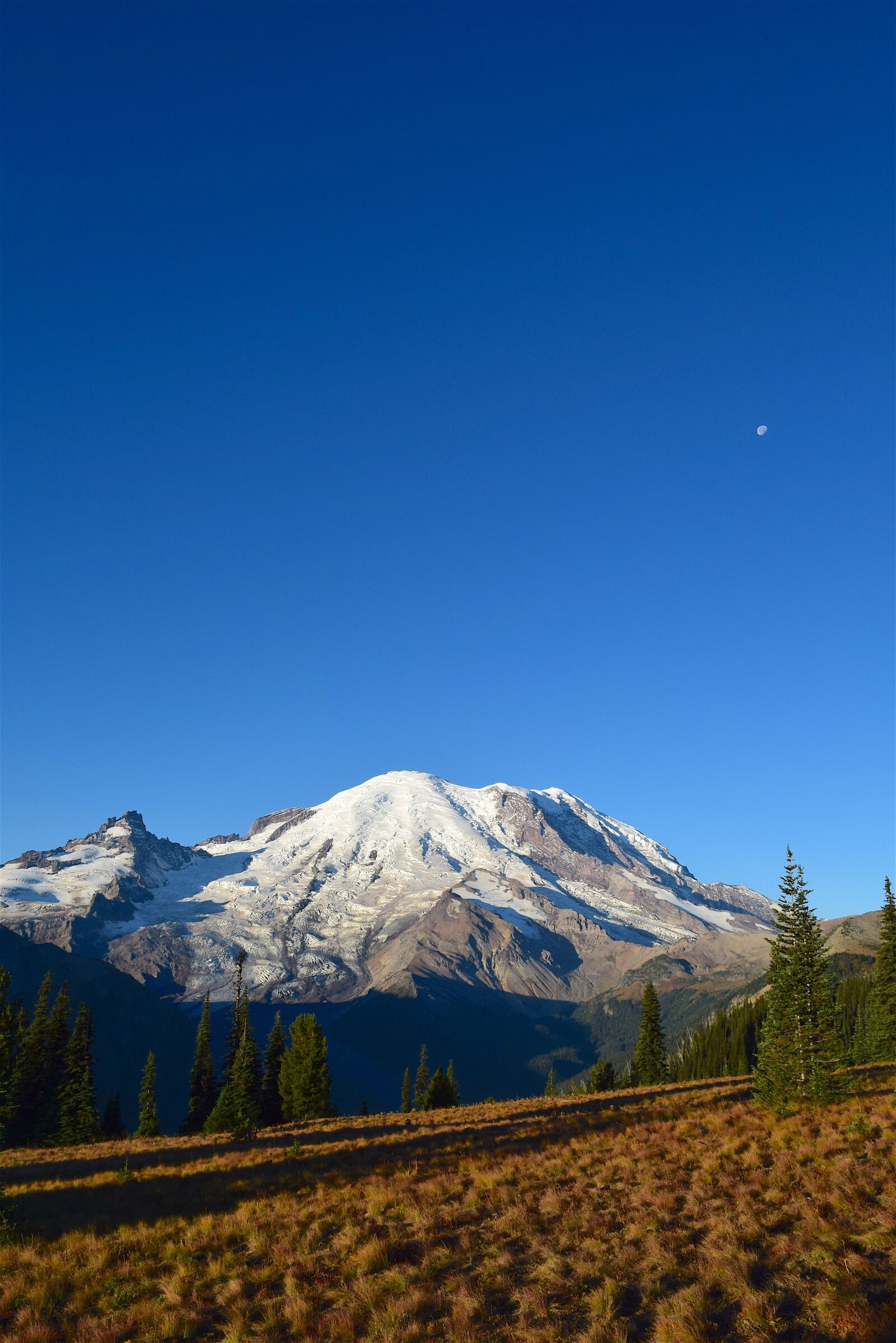 Nikon D3300 sample photo. Mountain, field, trees photography
