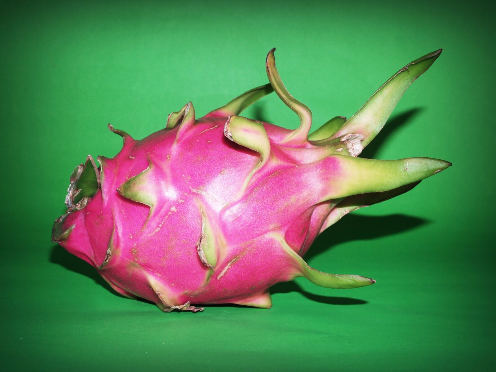 Olympus E-300 (EVOLT E-300) sample photo. Fruit, dragon, closeup photography