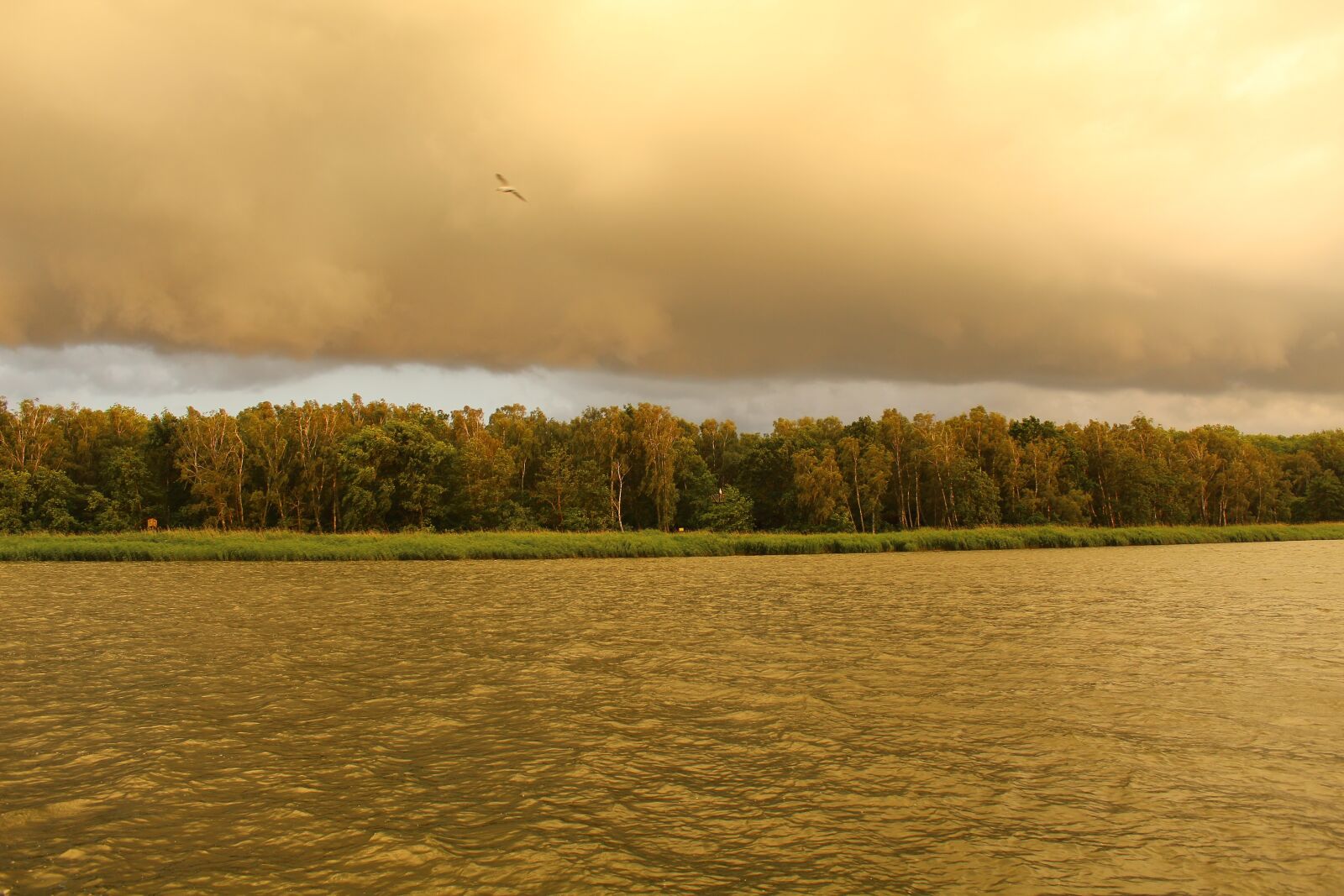 Canon EOS 4000D (EOS Rebel T100 / EOS 3000D) sample photo. River, clouds, landscape photography