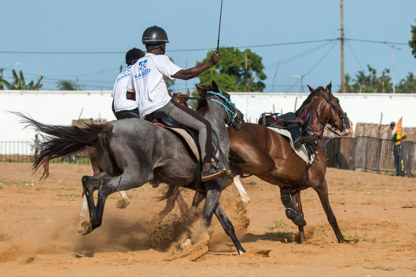 Canon EF 100-400mm F4.5-5.6L IS USM sample photo