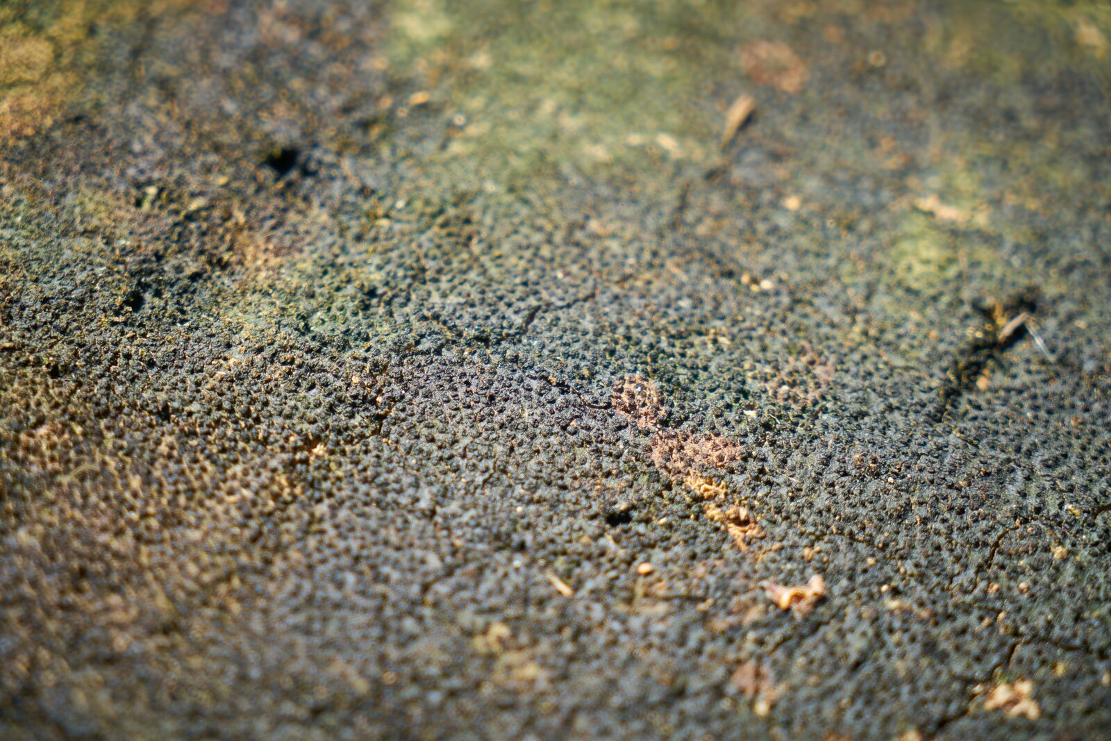 Sony a7R II + Sony Vario Tessar T* FE 24-70mm F4 ZA OSS sample photo. Aba, surface, dirty photography