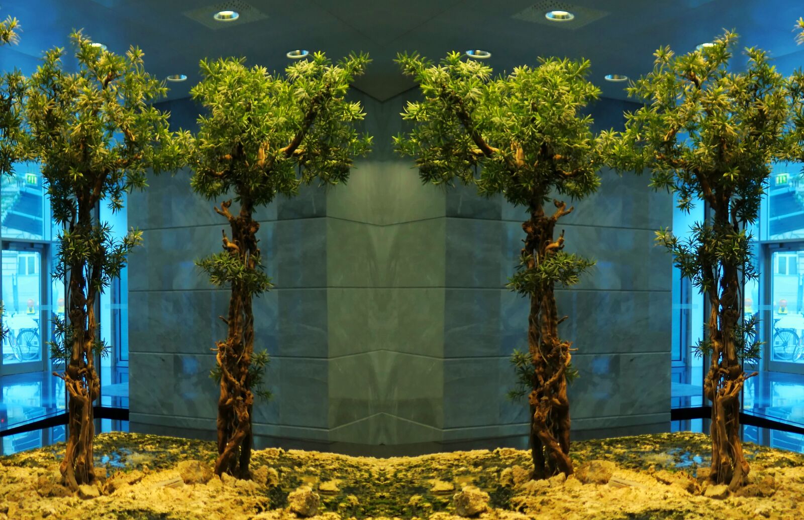 Panasonic Lumix DMC-LX10 (Lumix DMC-LX15) sample photo. Greening, tree, indoor green photography