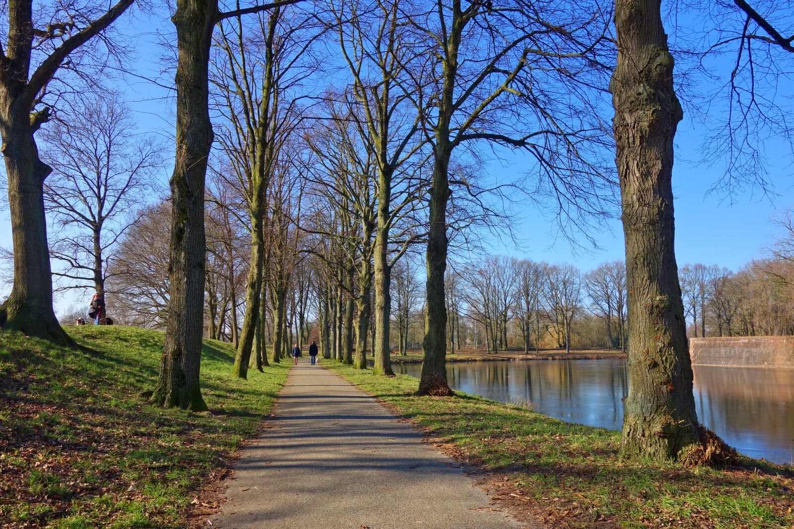 Sony Cyber-shot DSC-RX100 sample photo. Lane, tree, moat photography