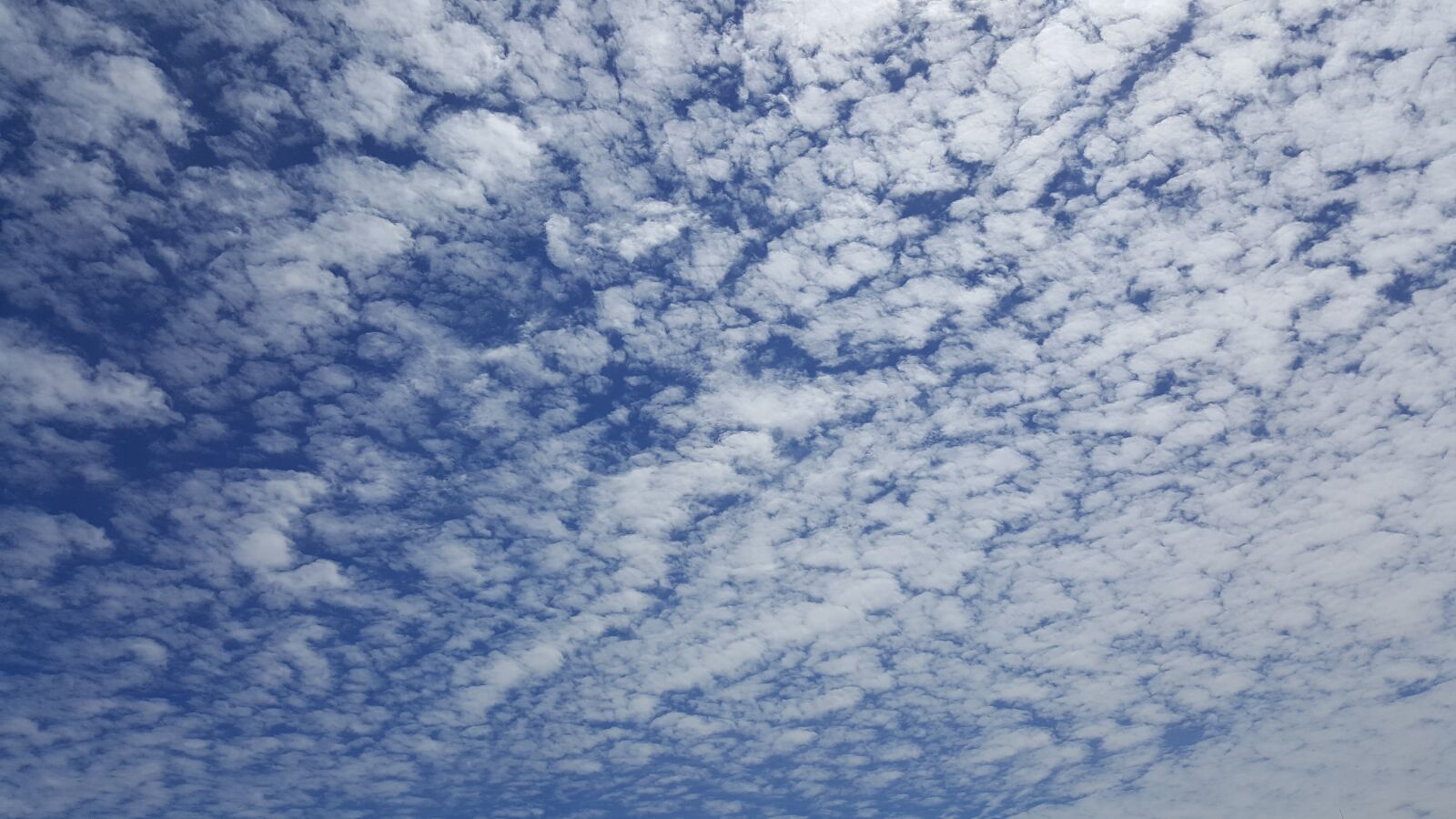 Samsung Galaxy Note5 sample photo. Sky, autumn sky, serenity photography