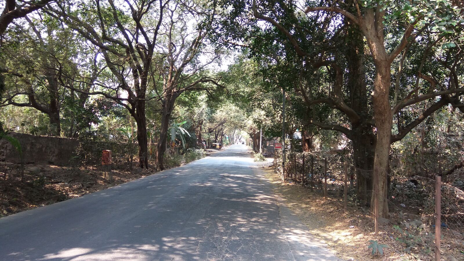 Xiaomi Redmi Note3 sample photo. Road, long, root highway photography