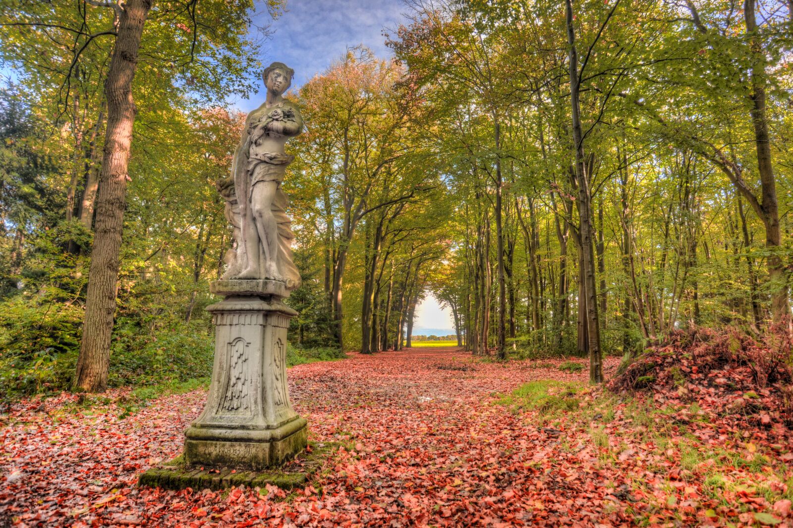 Nikon D610 sample photo. Statue, forest, path photography