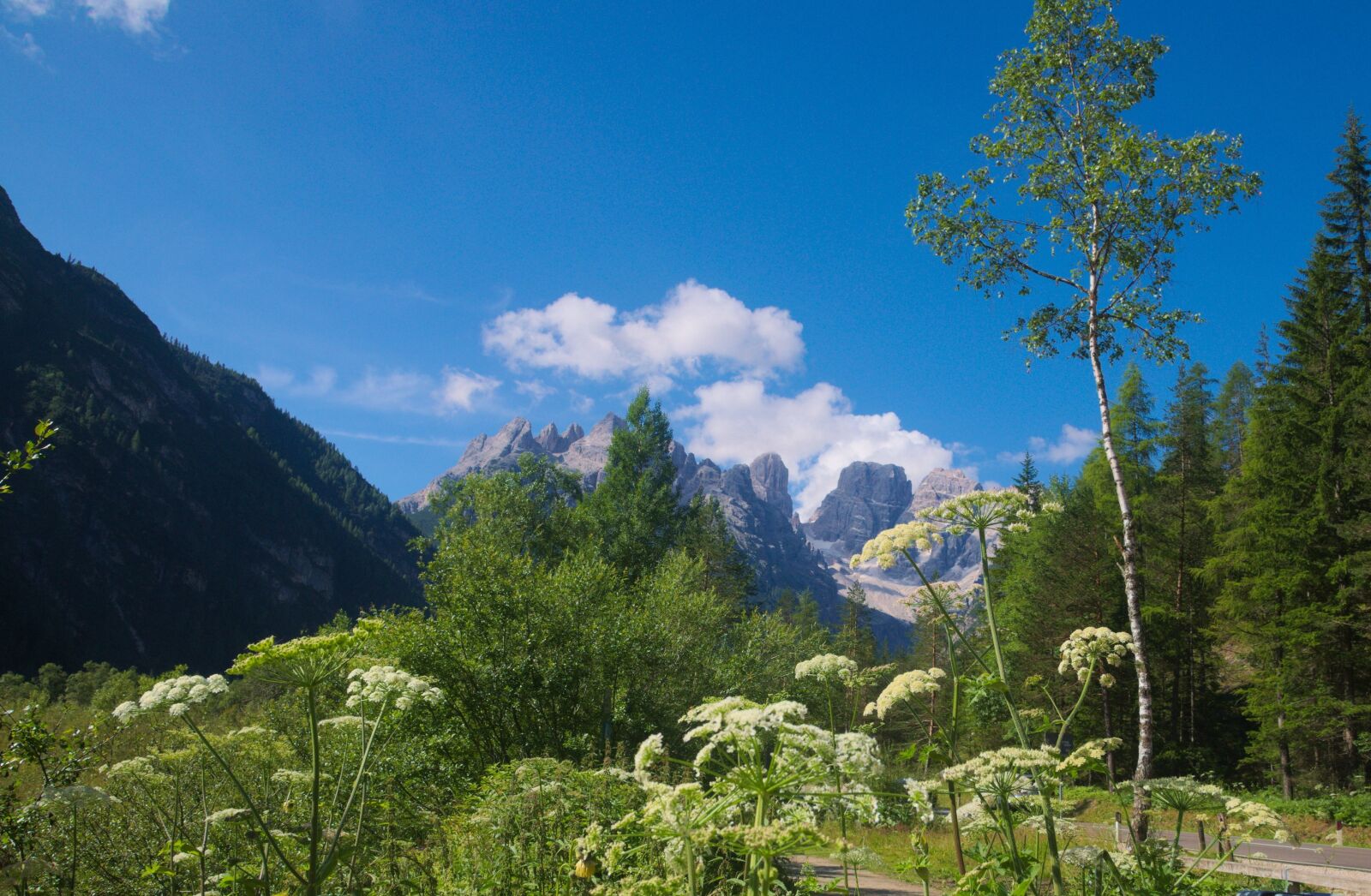Nikon D5100 sample photo. Mountains, nature, summer photography