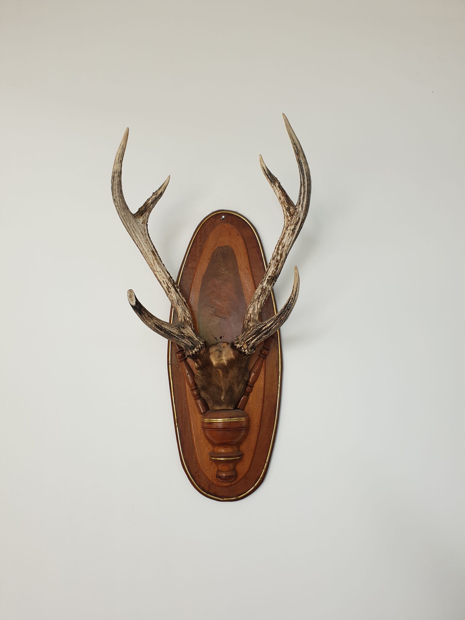 Samsung Galaxy Note9 sample photo. Ornament, deer, reindeer photography