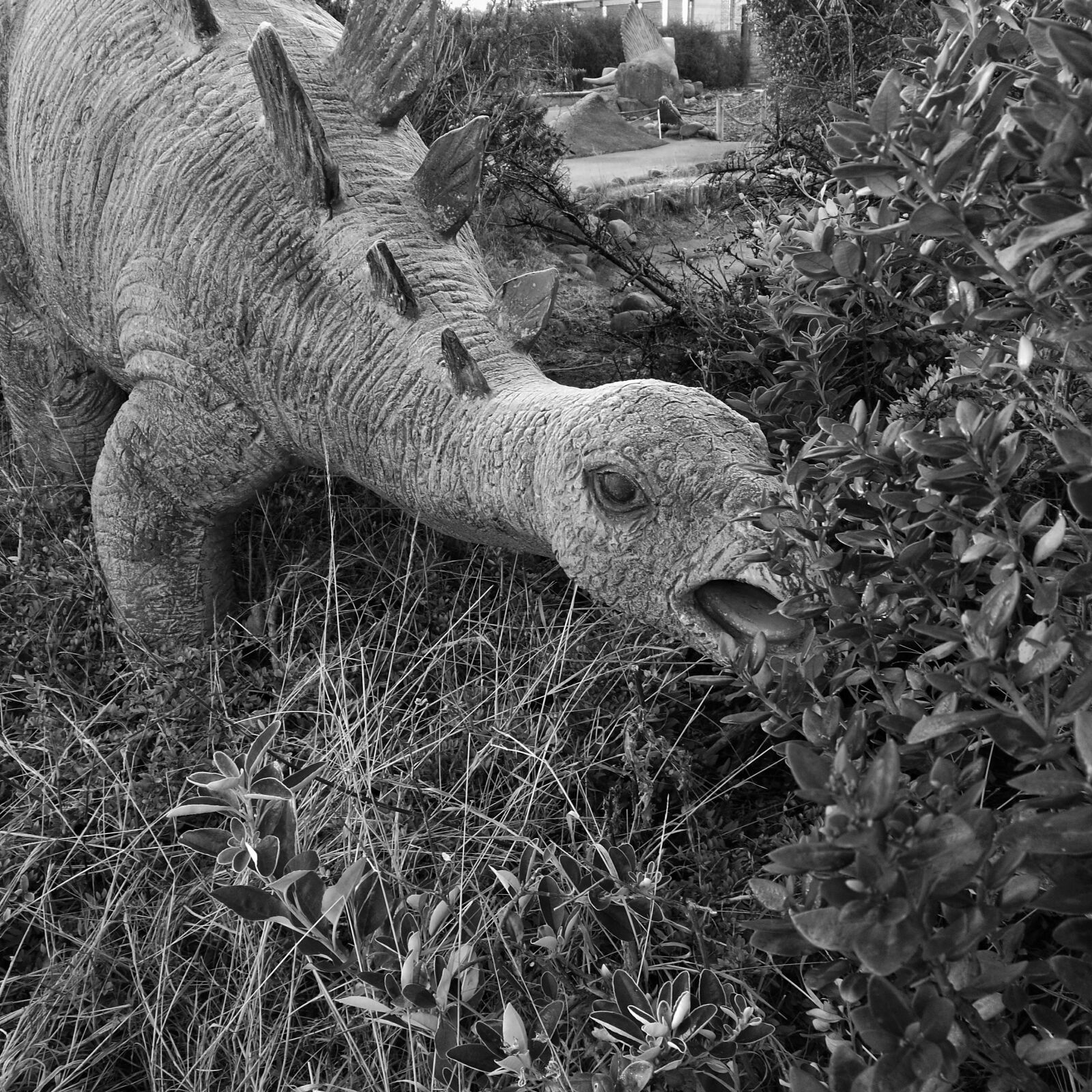 HUAWEI P9 sample photo. Dinosaur photography