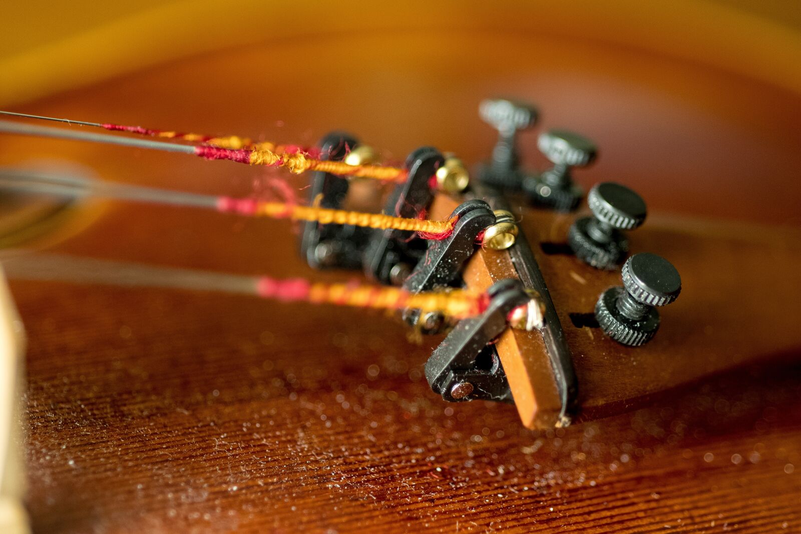 Nikon D500 sample photo. Stringed, bowed stringed instrument photography