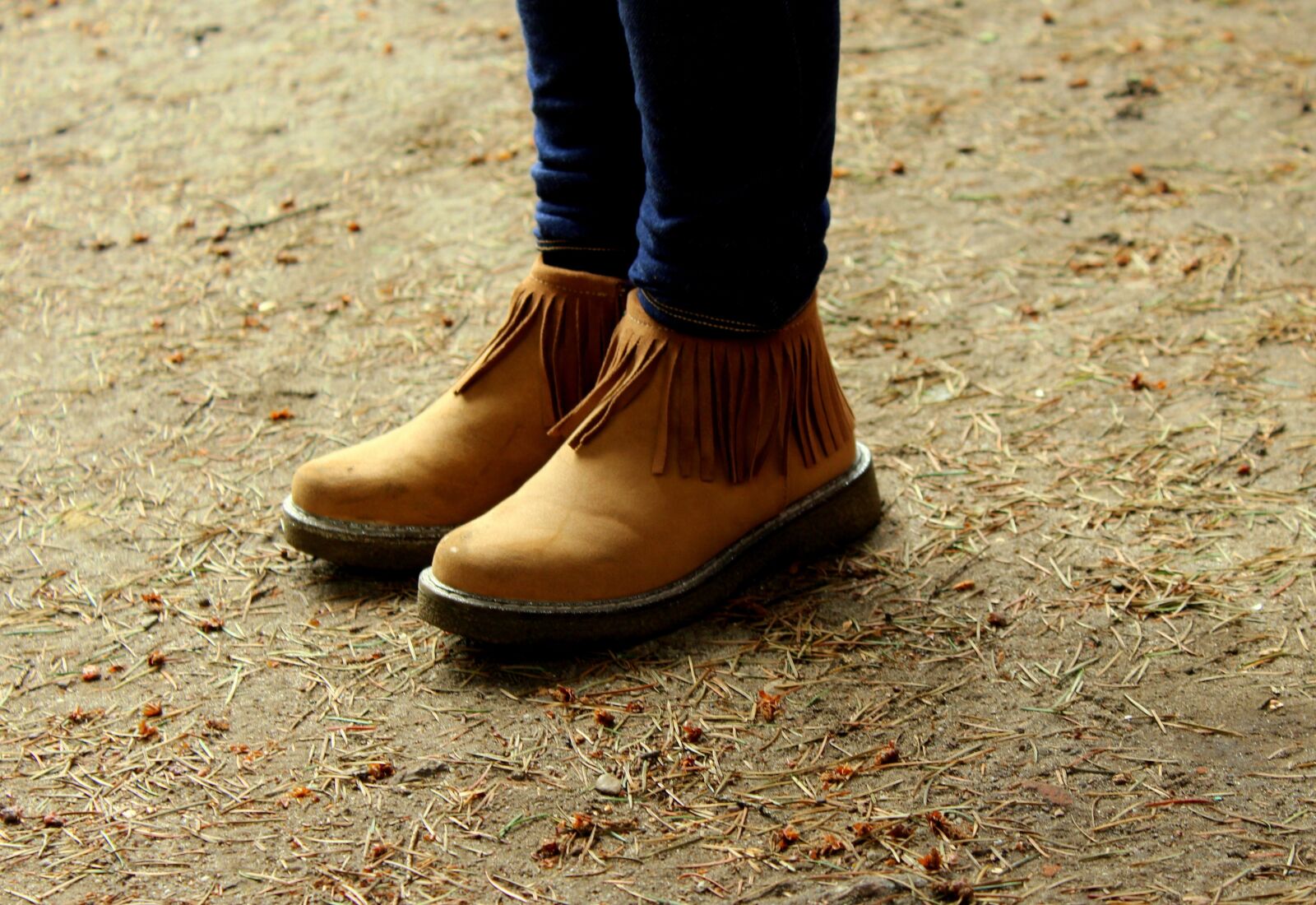 Canon EOS 1200D (EOS Rebel T5 / EOS Kiss X70 / EOS Hi) sample photo. Shoes, ankle boots, autumn photography
