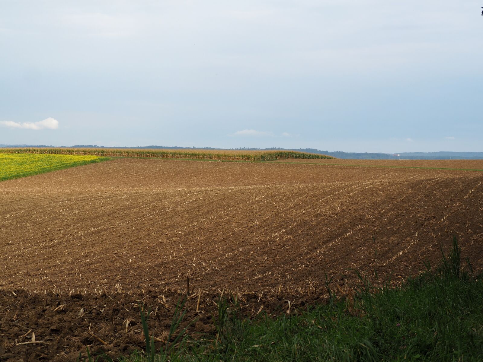 Olympus OM-D E-M10 sample photo. Landscape, hilly, arable photography