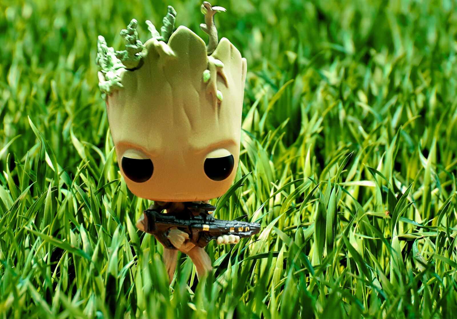 Samsung Galaxy J3 Pro sample photo. Groot, tree, the grassland photography