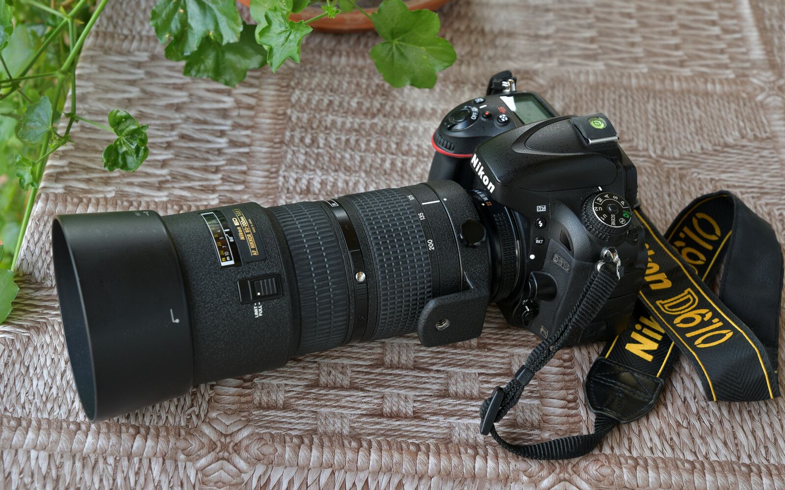 Nikon D7500 sample photo