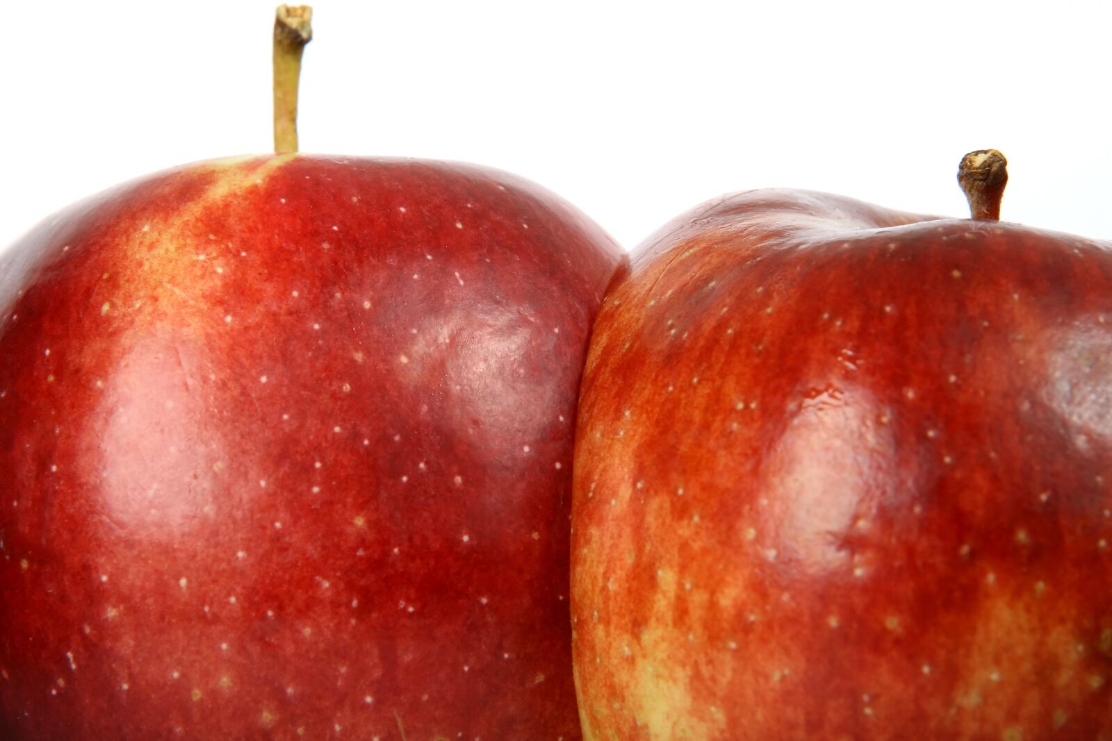 Canon EOS 30D sample photo. Appetite, apple, calories photography