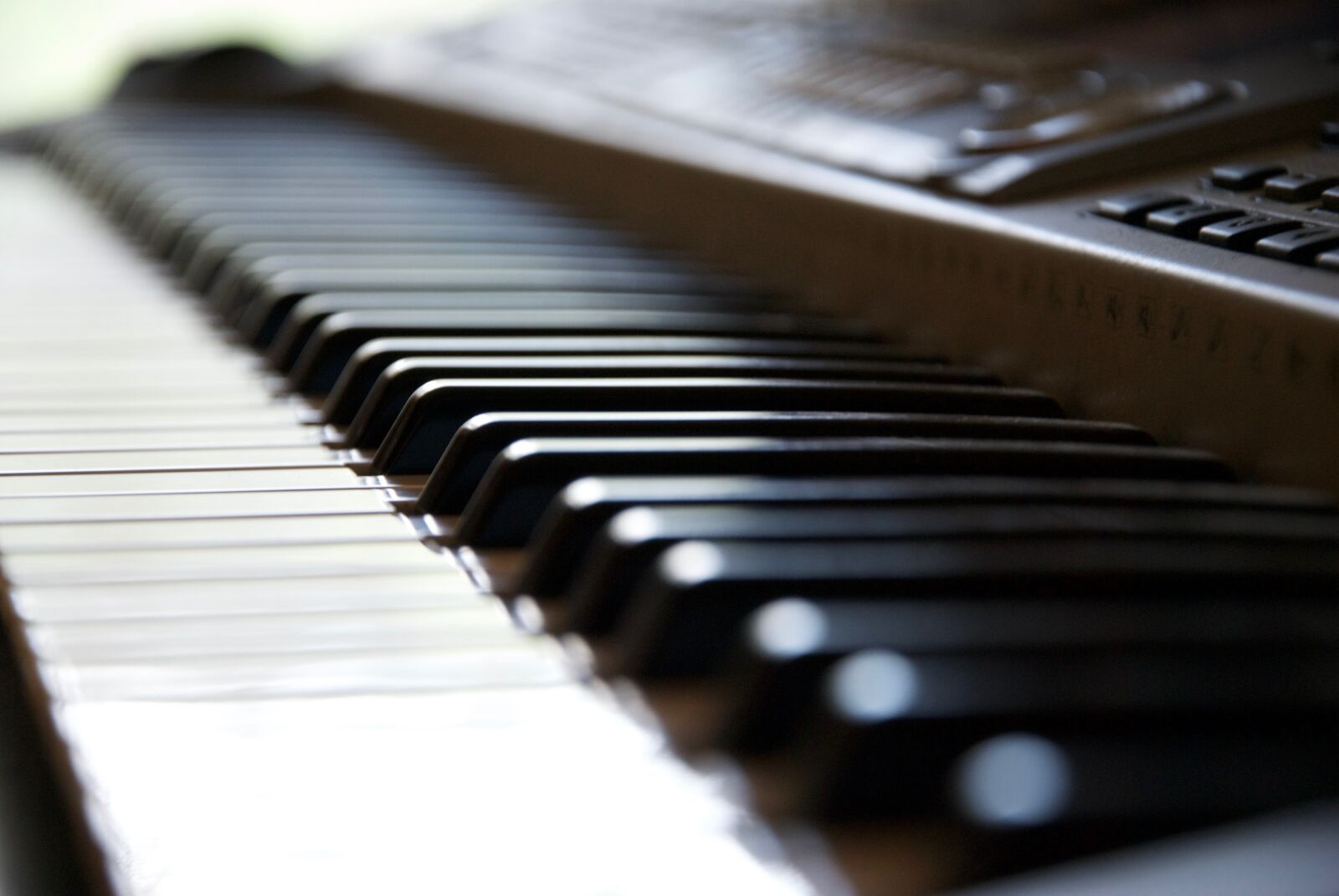 Nikon D60 sample photo. Keyboard, piano, keys photography