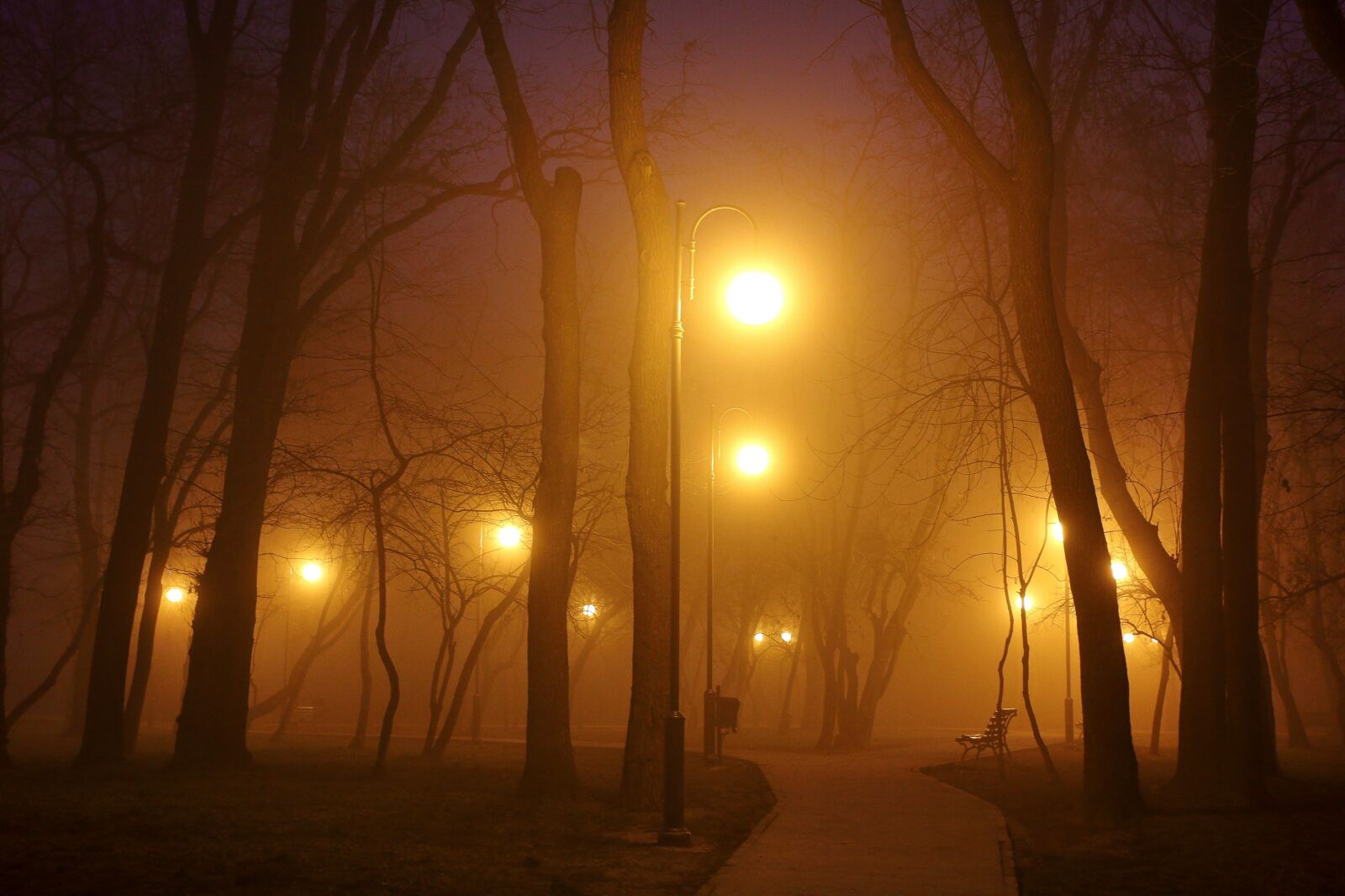 Canon EOS 60D sample photo. Night, lights, park photography