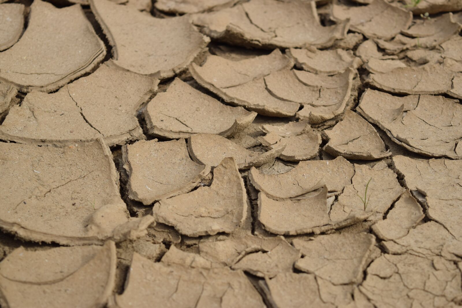 Nikon D3300 sample photo. Drought, desert, sand photography
