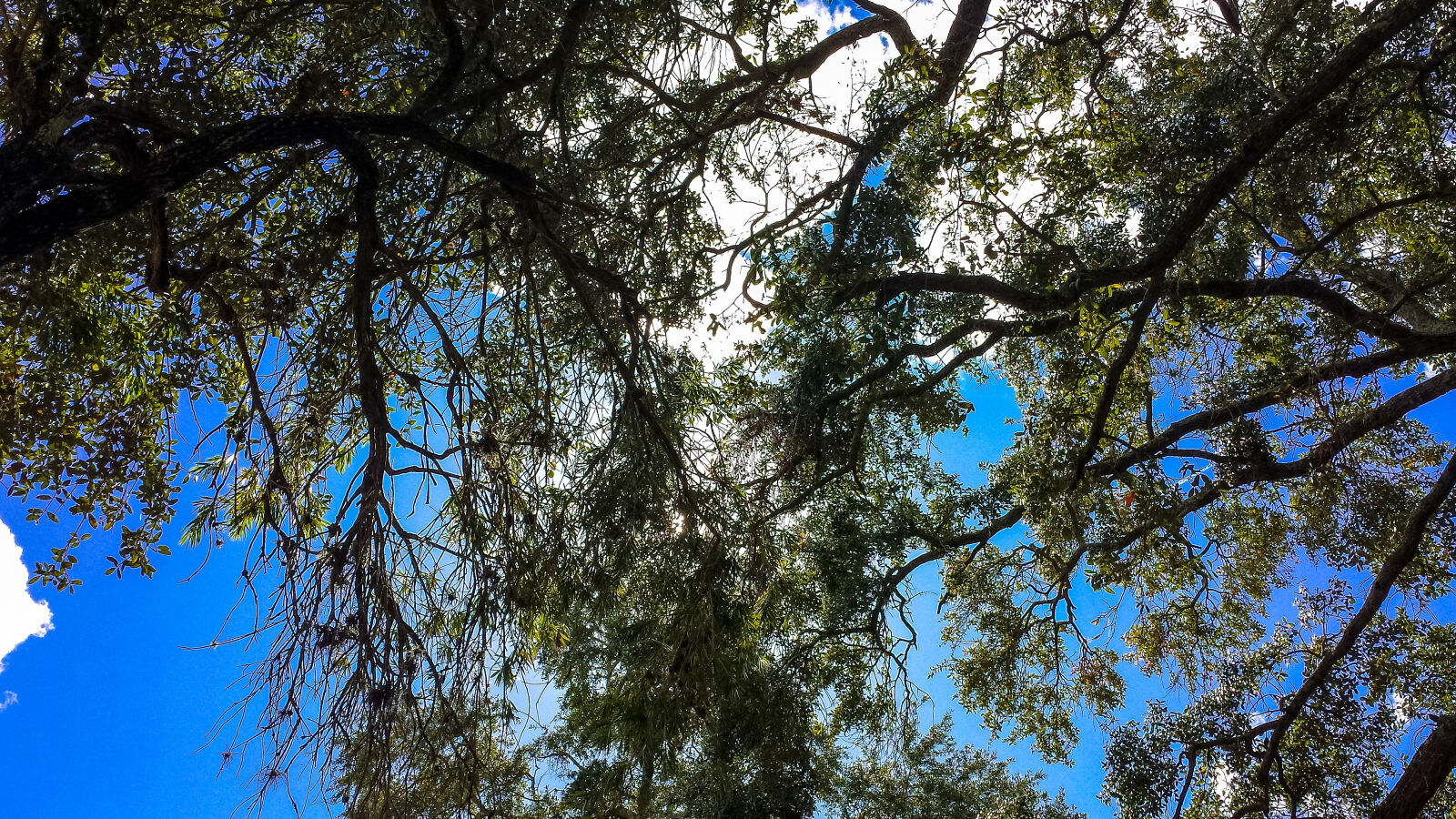 Samsung Galaxy S4 sample photo. Blue, skies, clouds, nature photography
