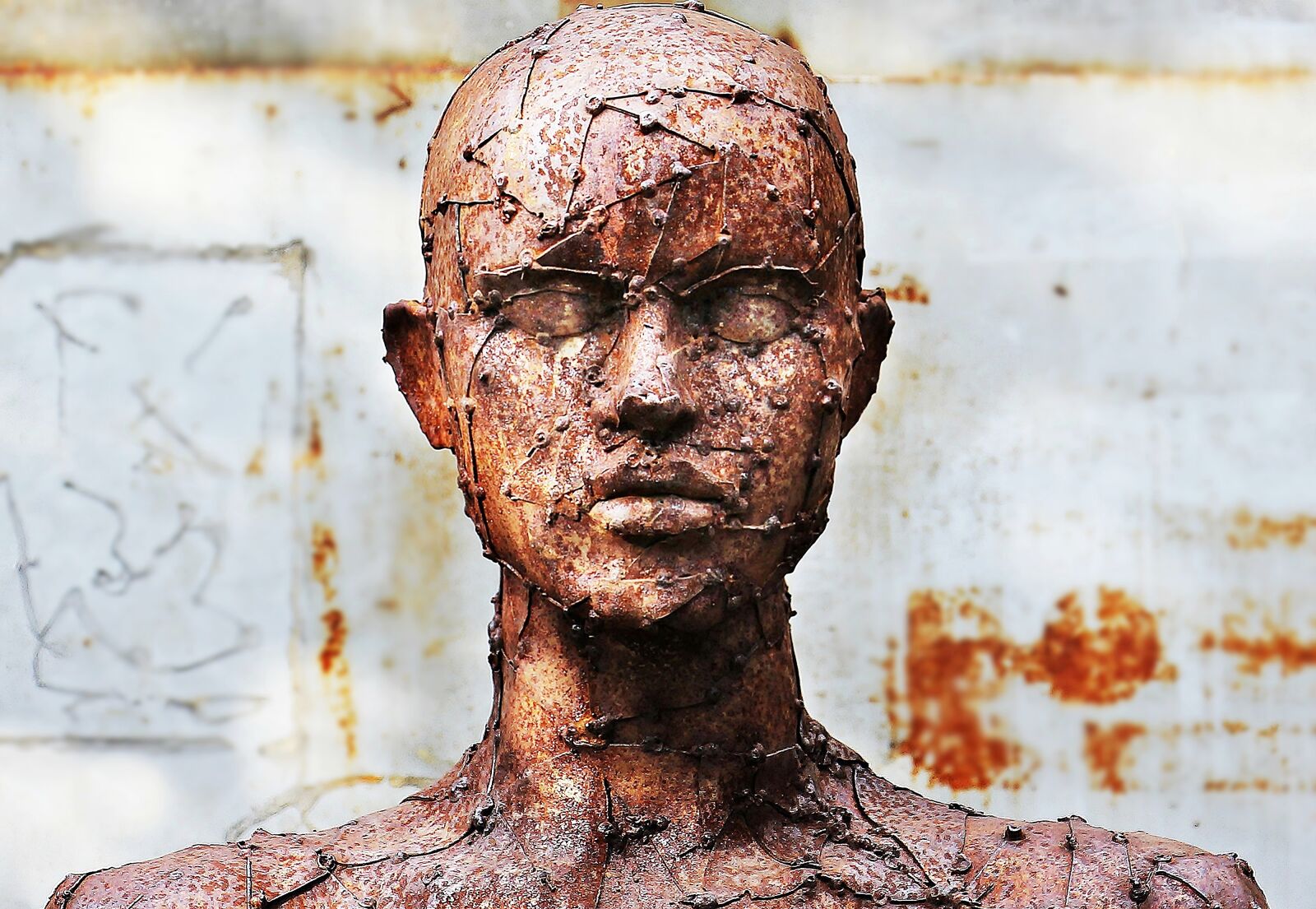 Canon EOS 550D (EOS Rebel T2i / EOS Kiss X4) sample photo. Art, sculpture, scrap sculpture photography