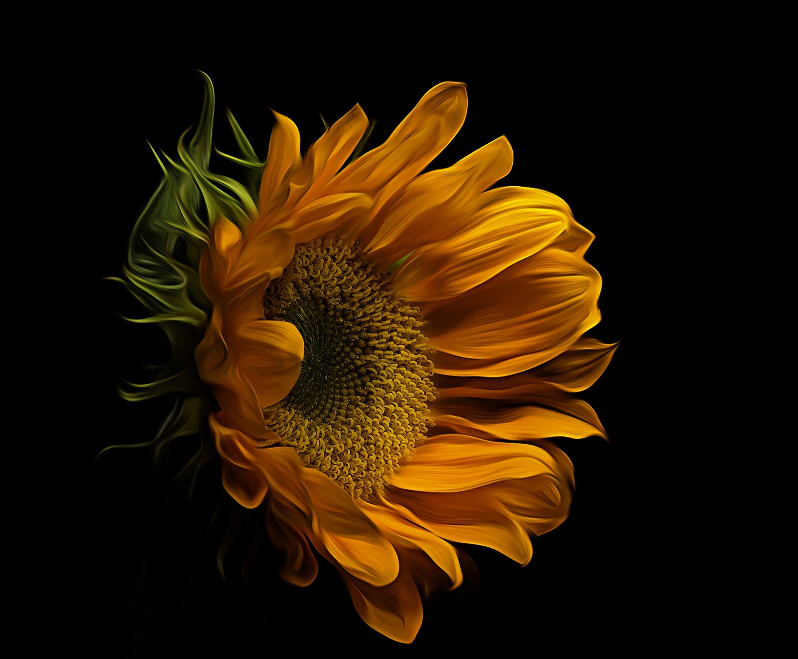 Canon EF 100mm F2.8L Macro IS USM sample photo. Flower, yellow, nature photography