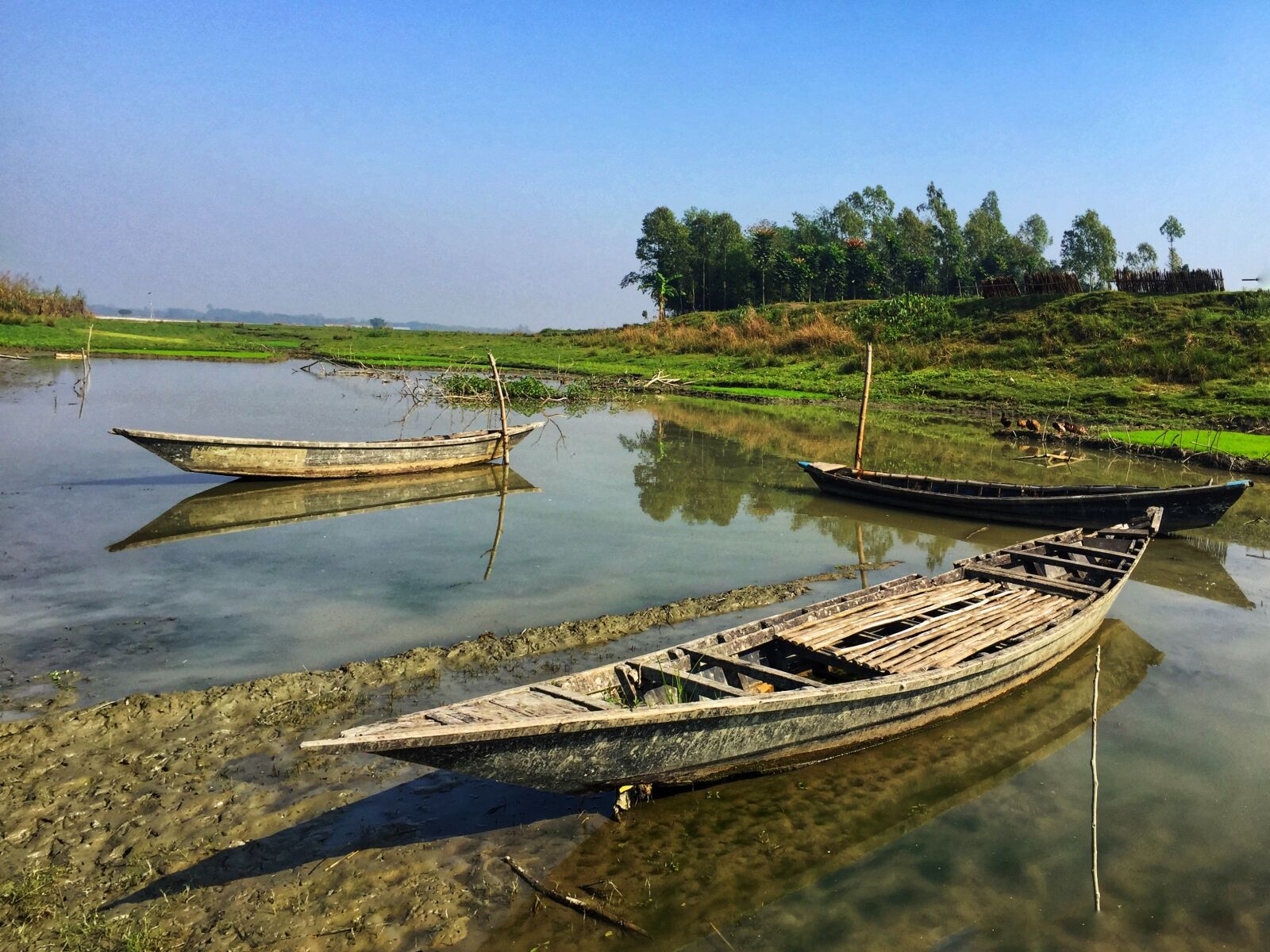 iPhone 6 Plus back camera 4.15mm f/2.2 sample photo. Nature, boat, river photography