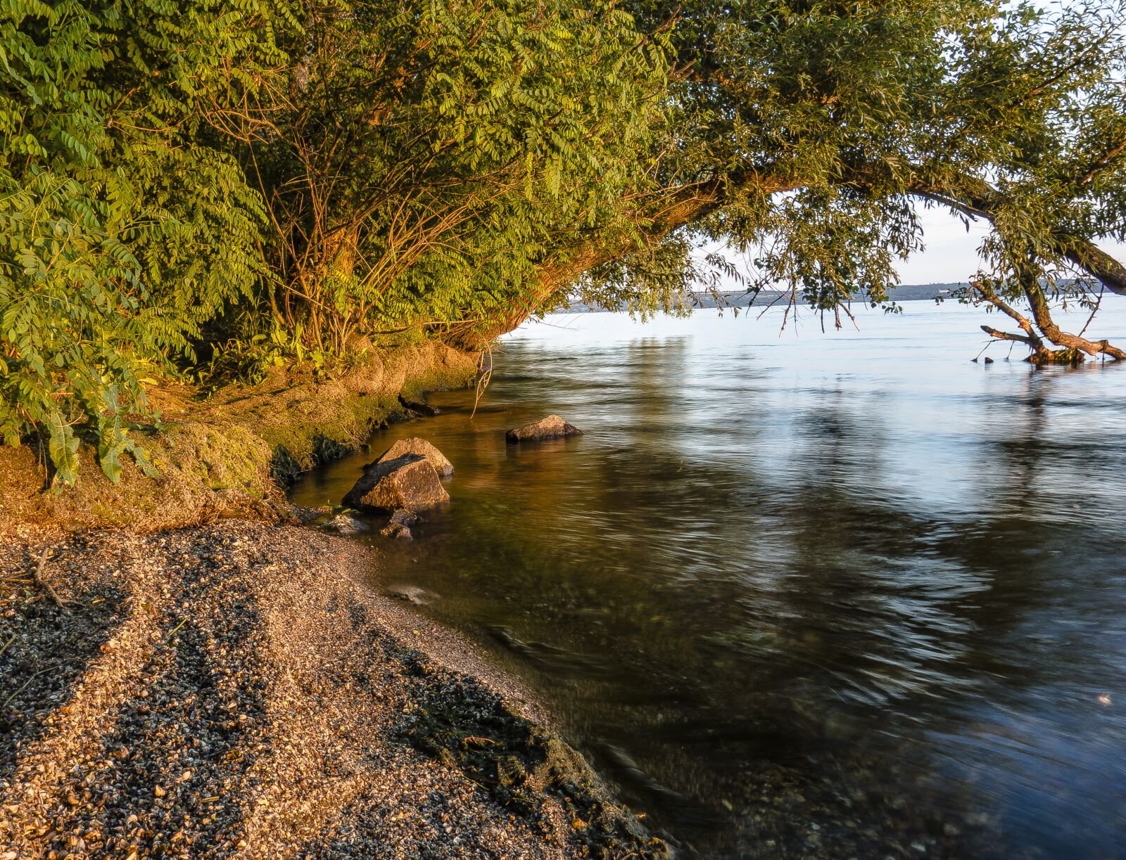 Sony Cyber-shot DSC-RX100 sample photo. Water, nature, tree photography