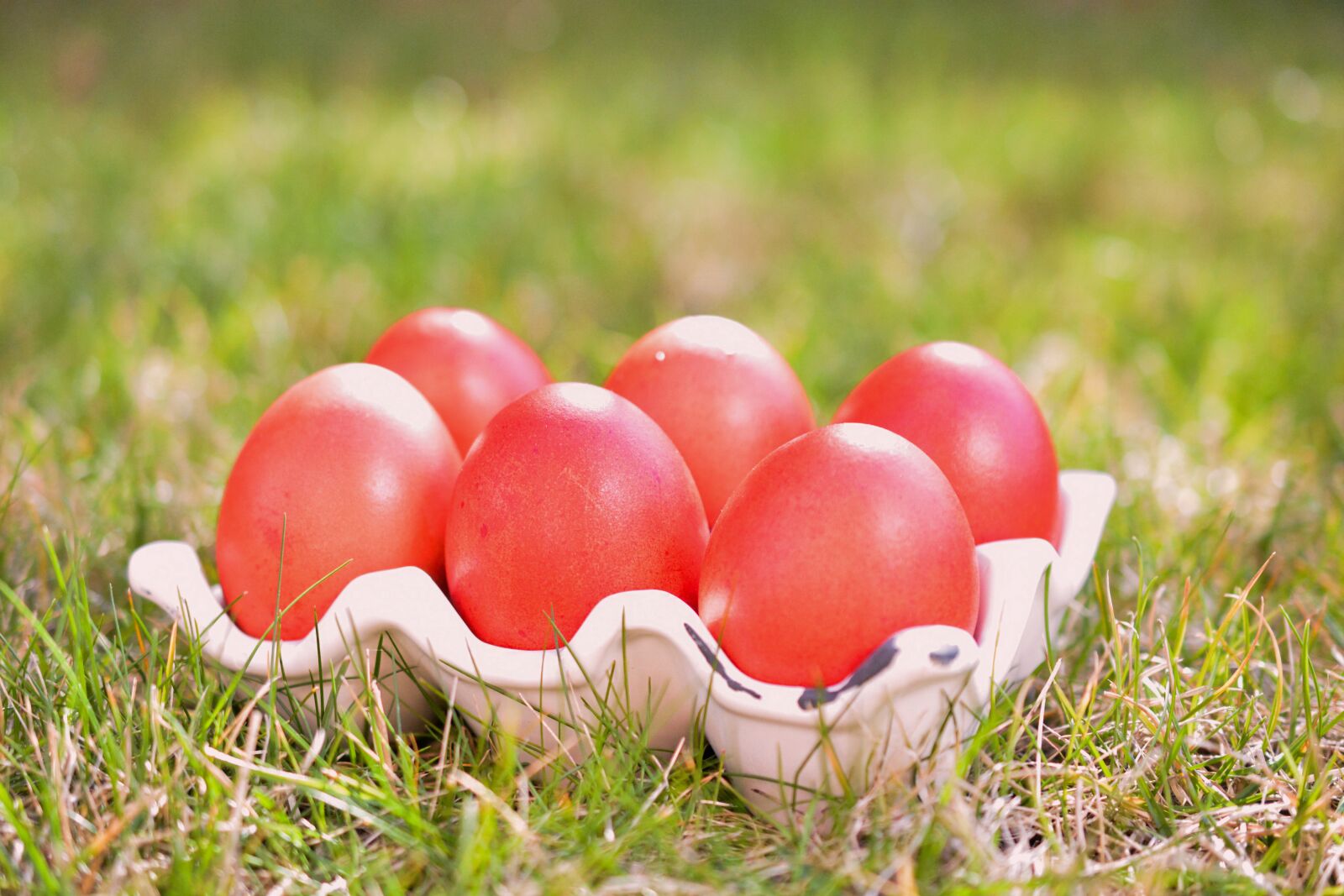 Nikon D5200 sample photo. Easter, eggs, colors photography