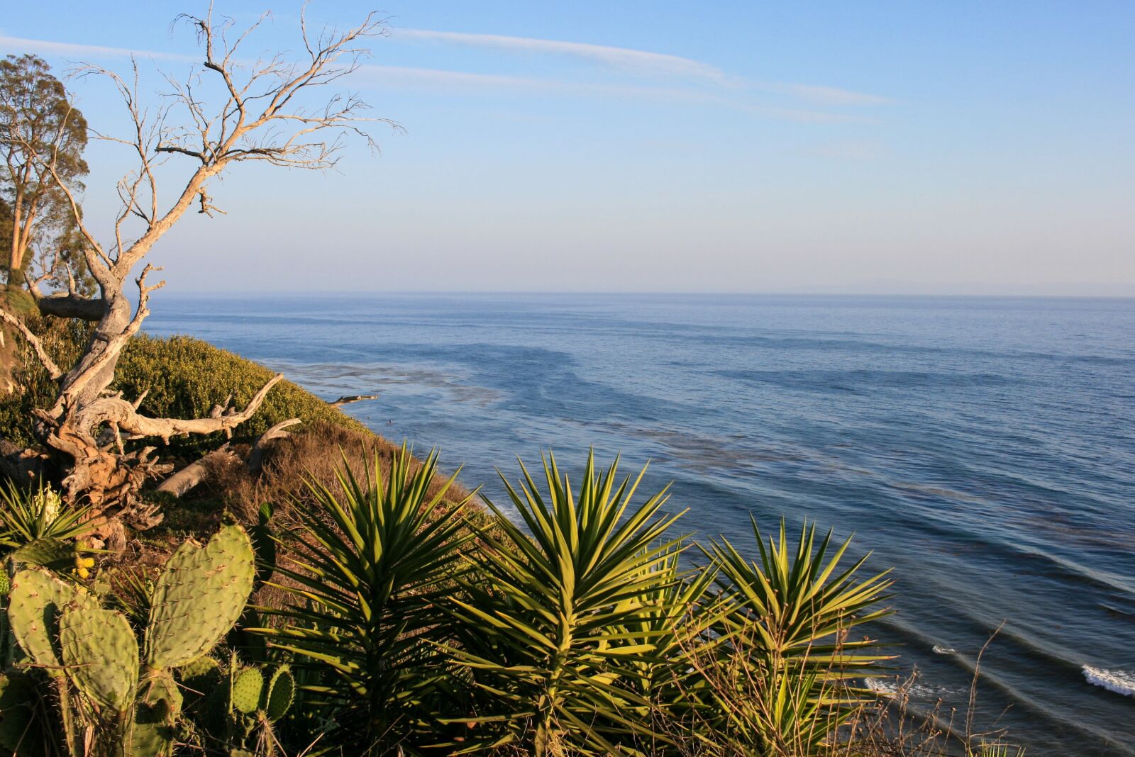 Canon EOS 400D (EOS Digital Rebel XTi / EOS Kiss Digital X) sample photo. Beach, sea, ocean photography
