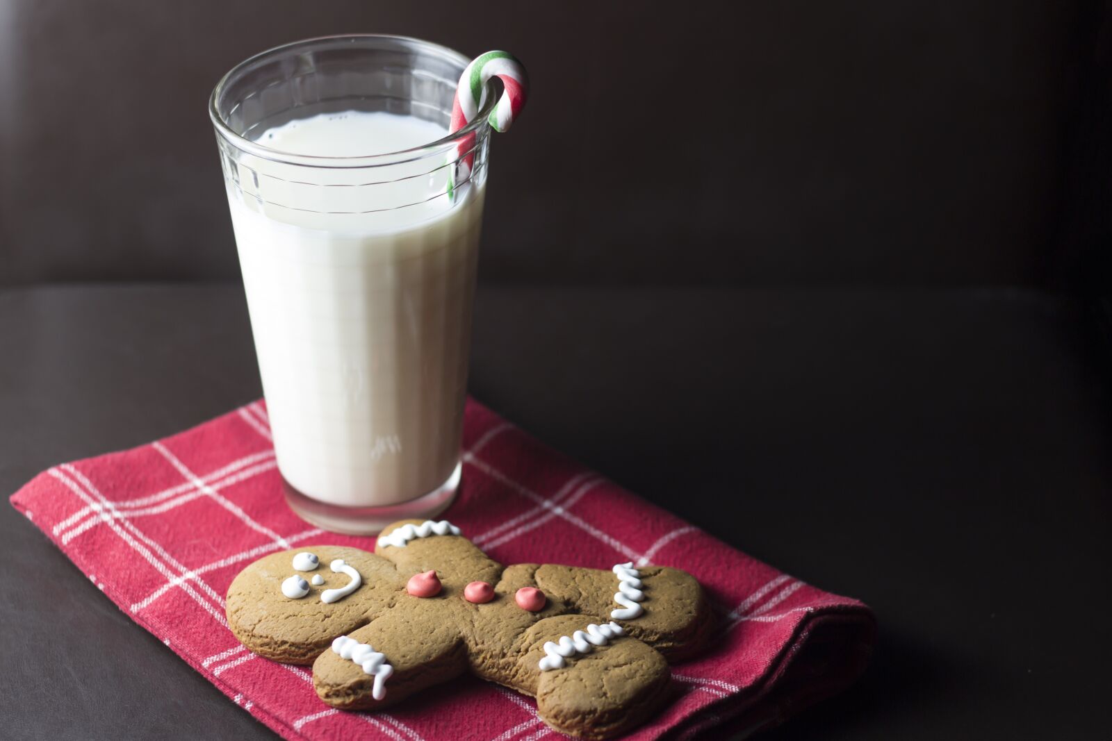 Canon EOS 600D (Rebel EOS T3i / EOS Kiss X5) + Canon EF 50mm F1.8 II sample photo. Christmas, cookie, milk photography