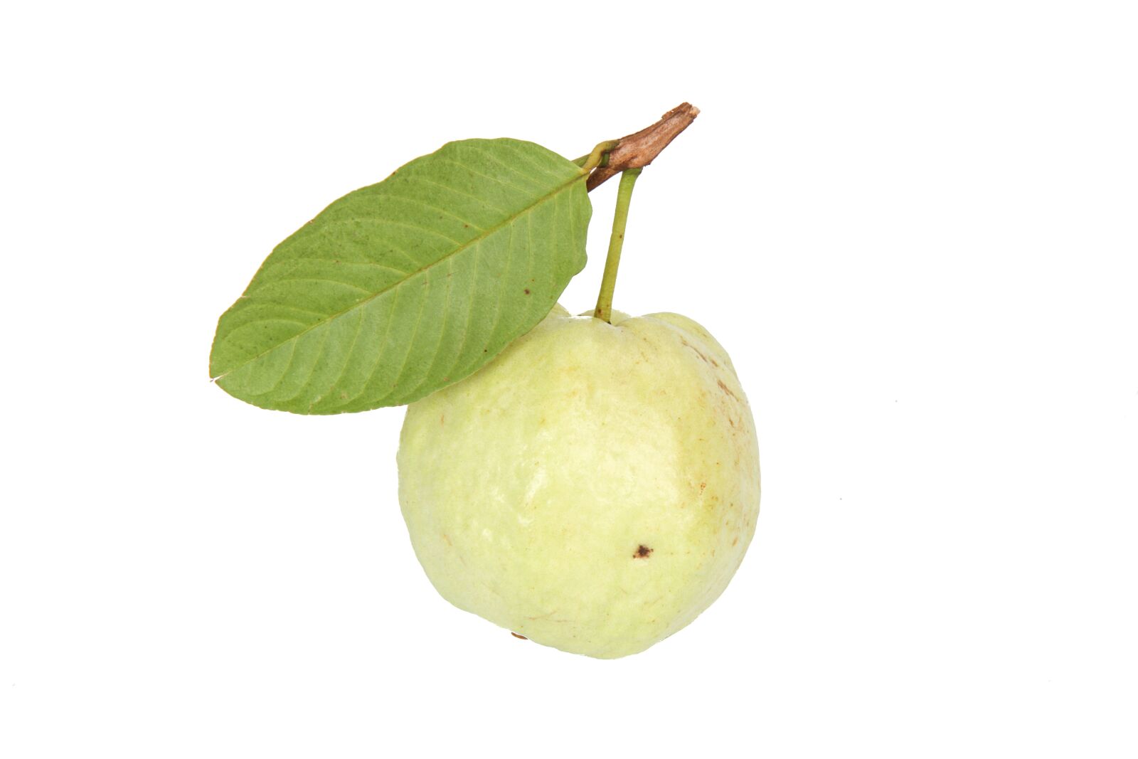 Canon EOS 7D sample photo. Guava, food, fruit photography