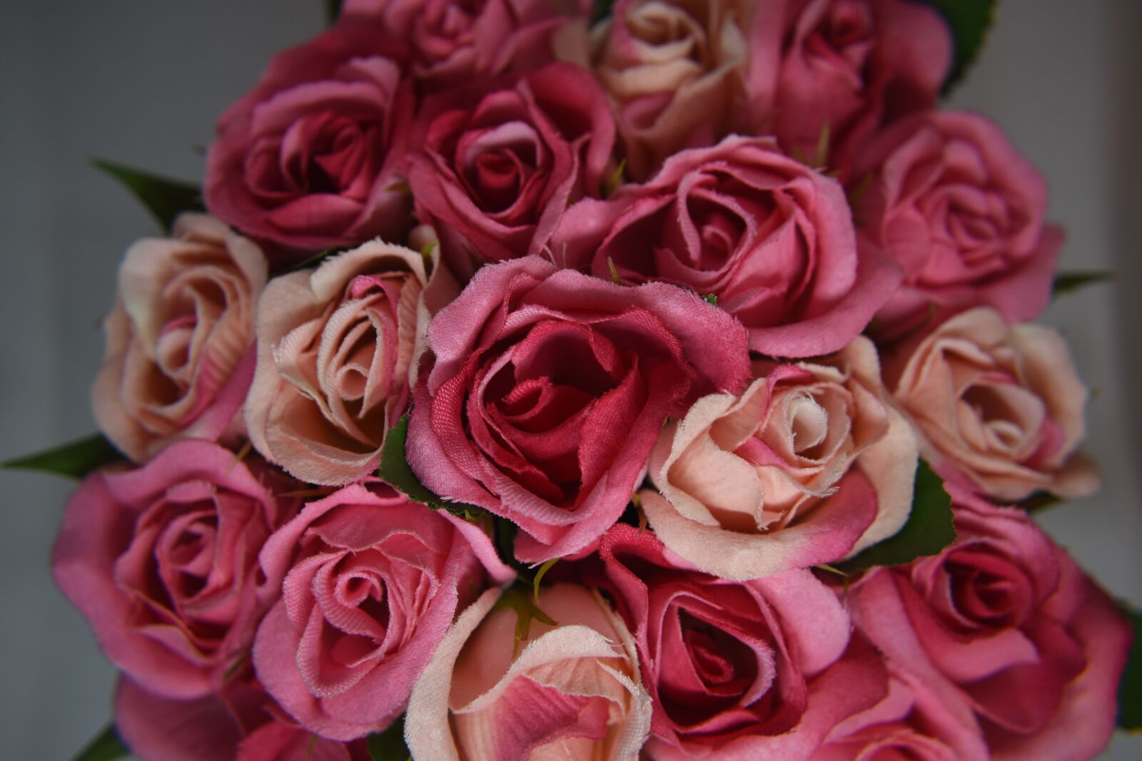 Nikon D5600 sample photo. Rose, fabric, decoration photography