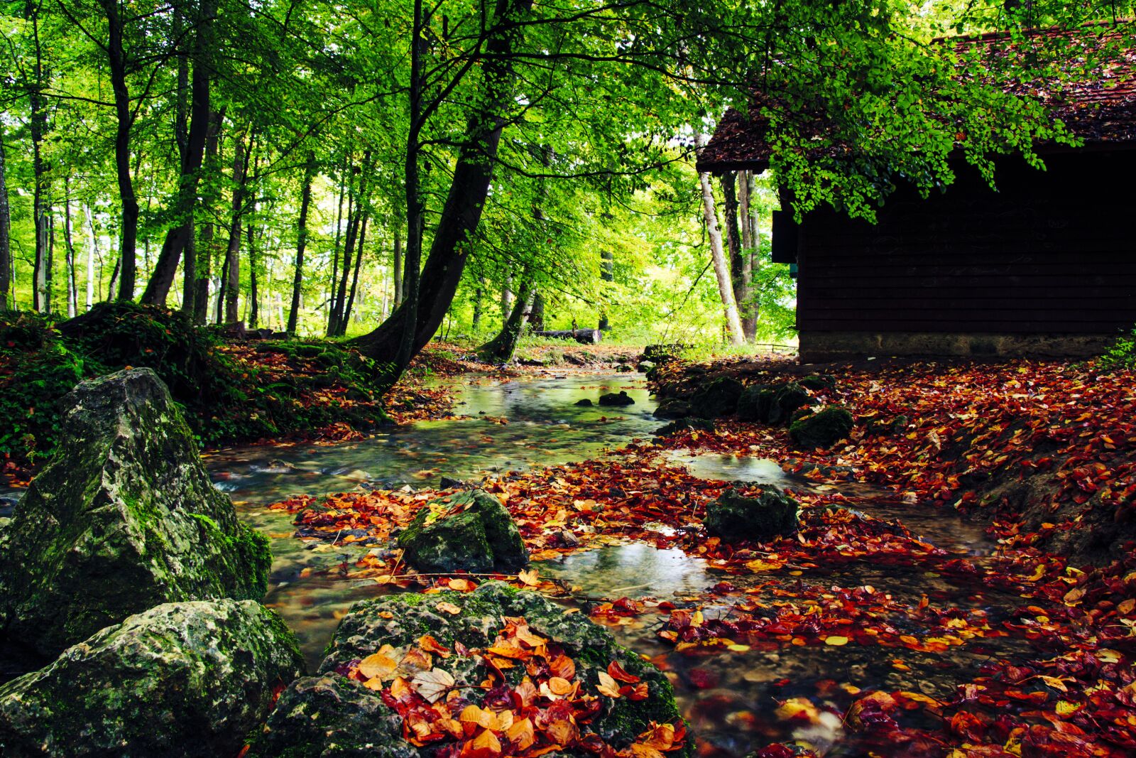Canon EOS 650D (EOS Rebel T4i / EOS Kiss X6i) sample photo. Creek, autumn, fall leaves photography