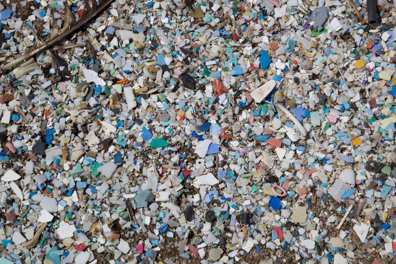 Canon EOS 5D Mark II sample photo. Plastic, pollution, pacific, gyre photography