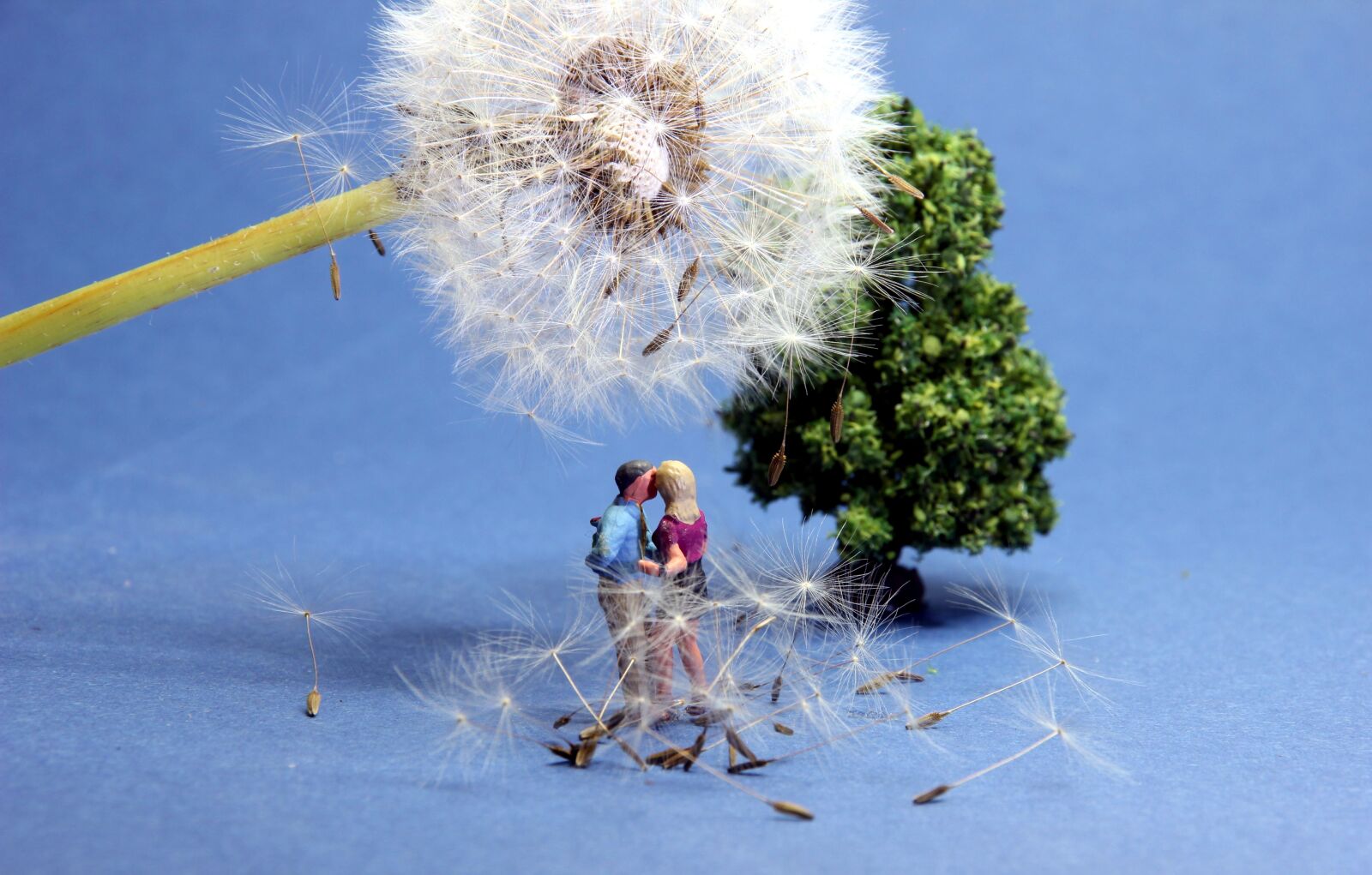 Canon EOS 550D (EOS Rebel T2i / EOS Kiss X4) sample photo. Dandelion, lovers, miniature figures photography