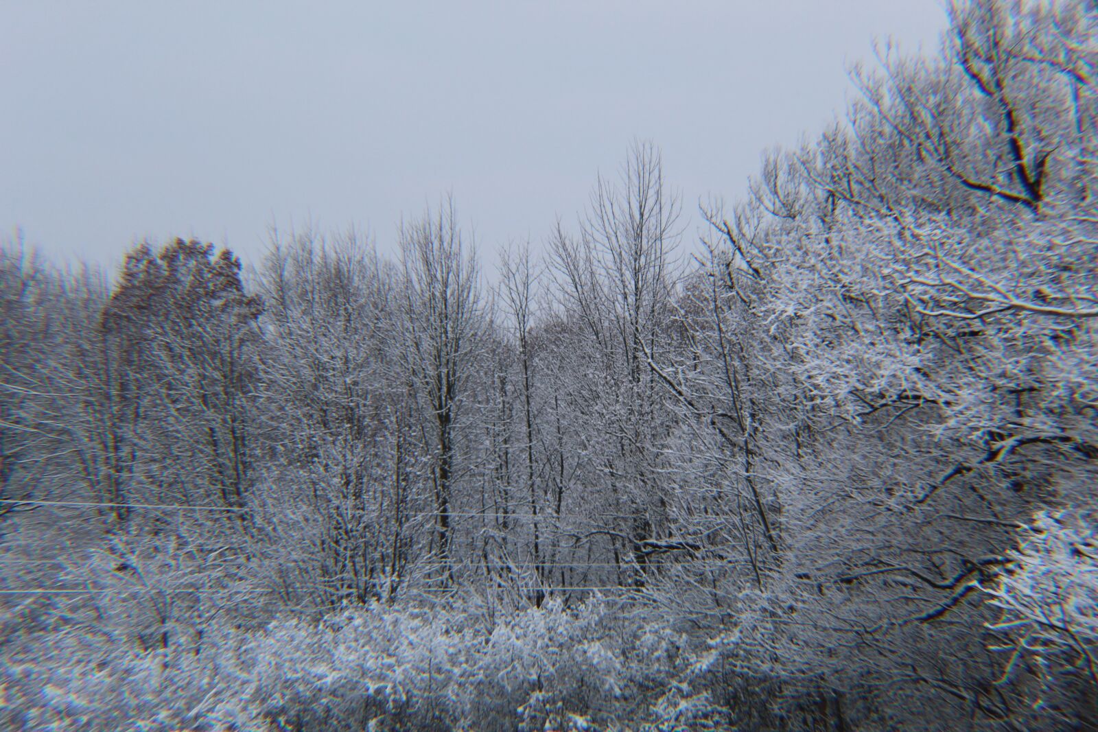 Canon EOS 1300D (EOS Rebel T6 / EOS Kiss X80) sample photo. Michigan winter, white, snow photography