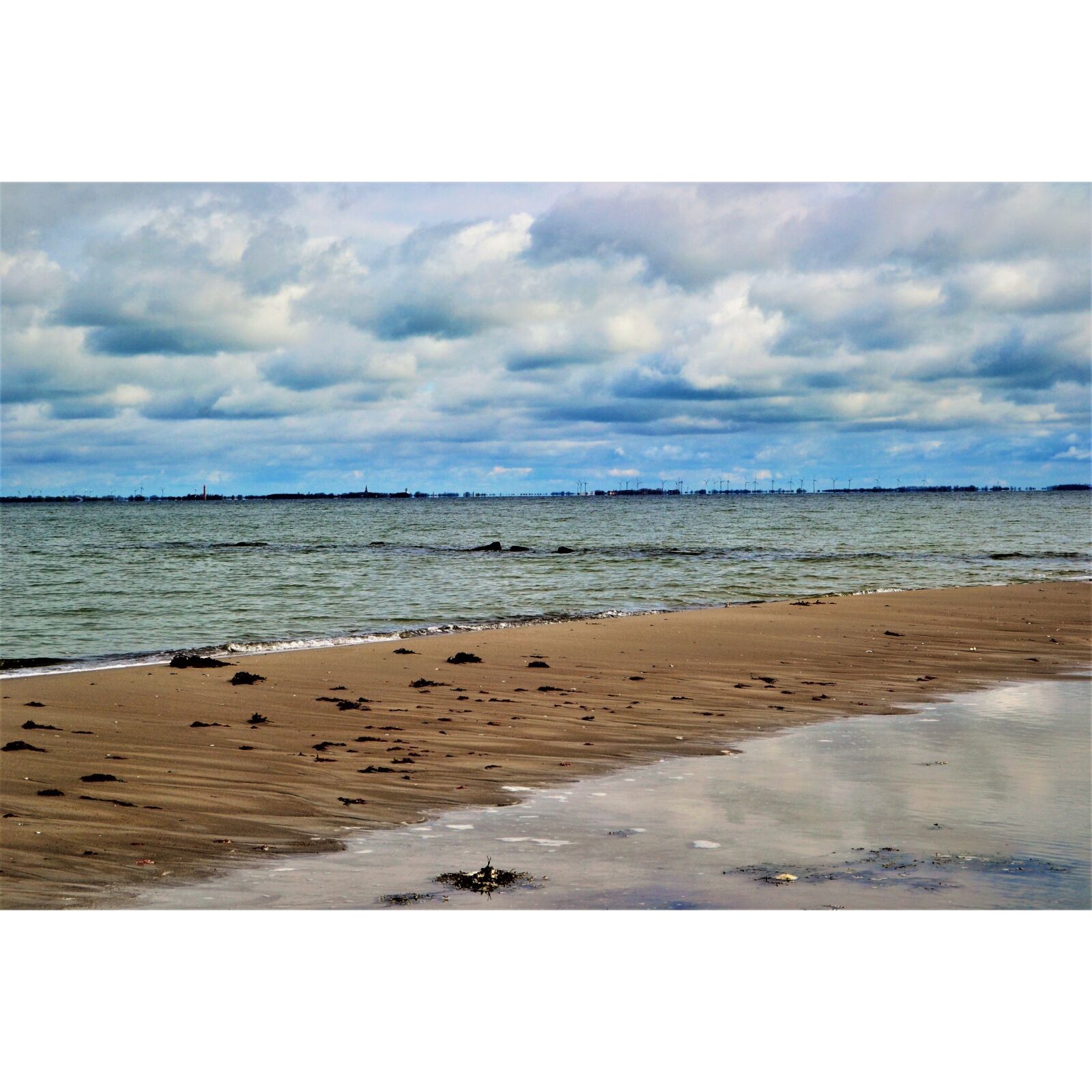 Nikon D3100 sample photo. Seabeach photography