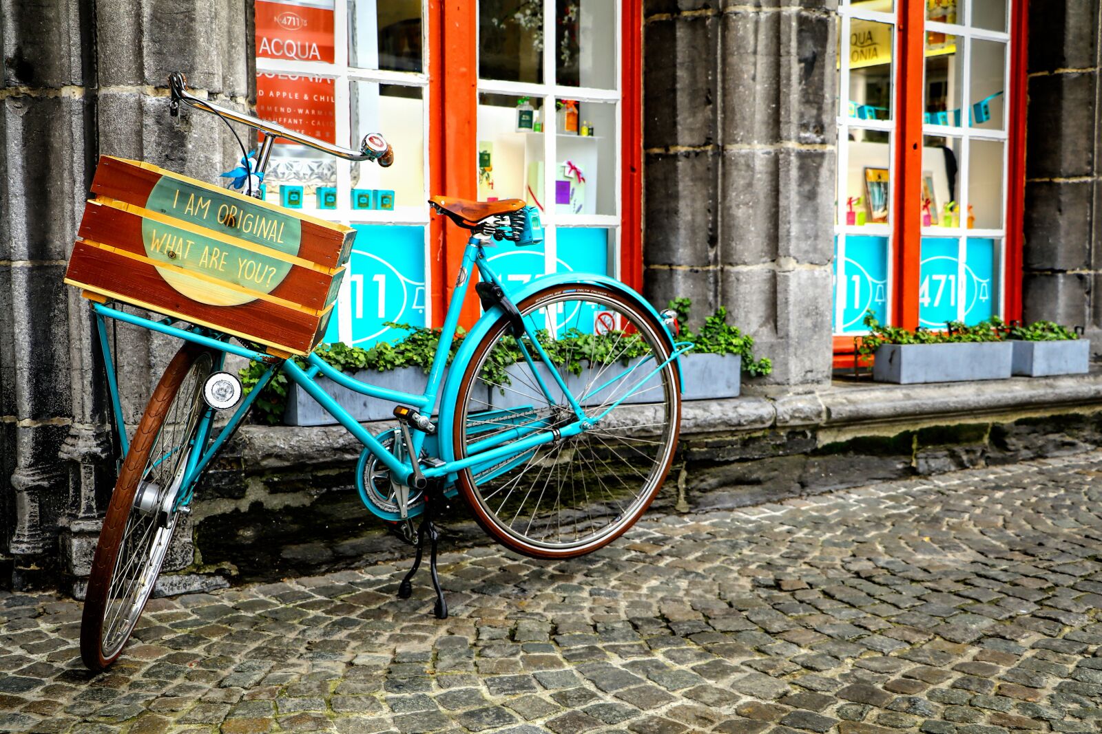 Canon EOS 80D sample photo. Belgian, street details, bicycle photography