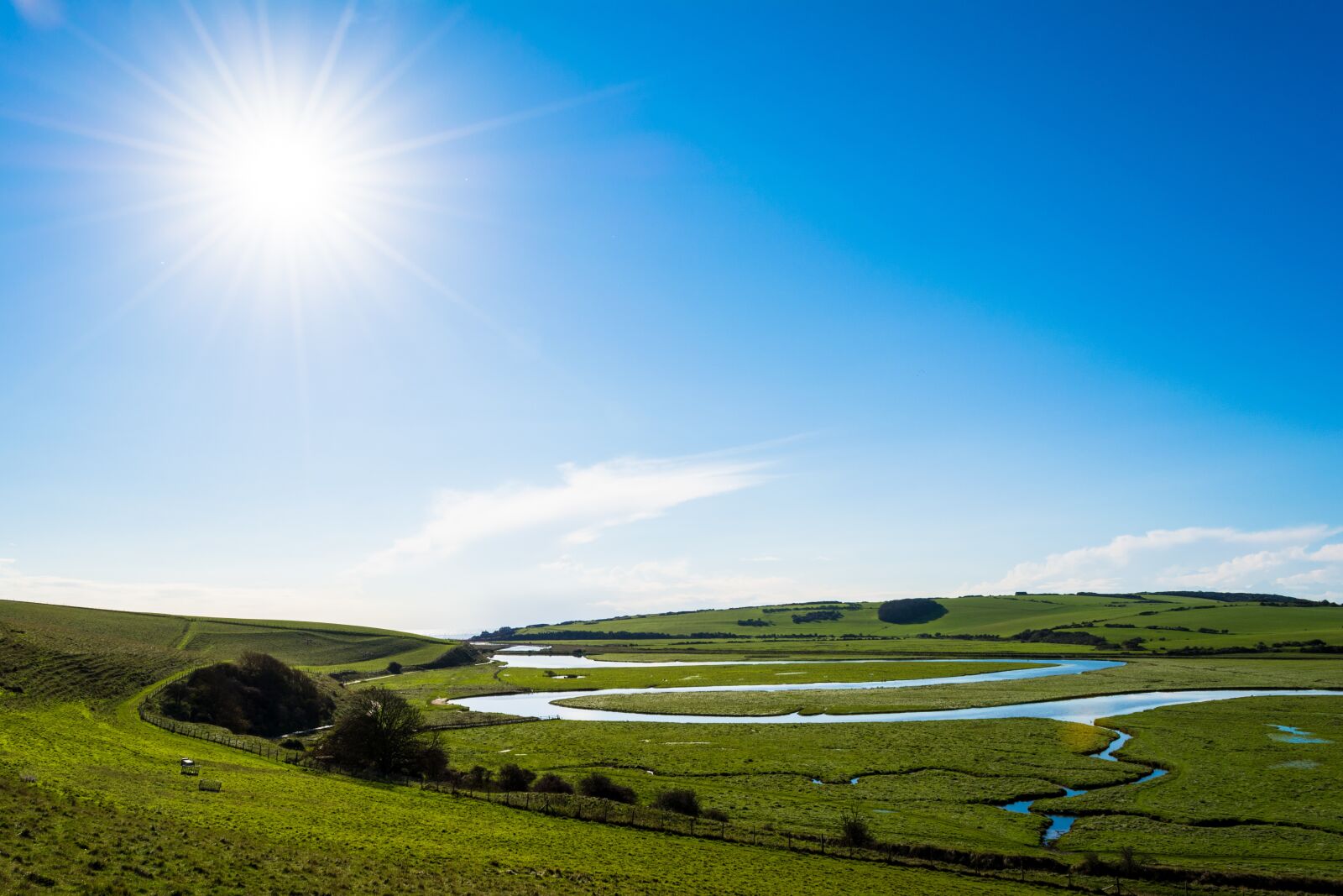 Nikon D5200 sample photo. Nature, sun, summer photography