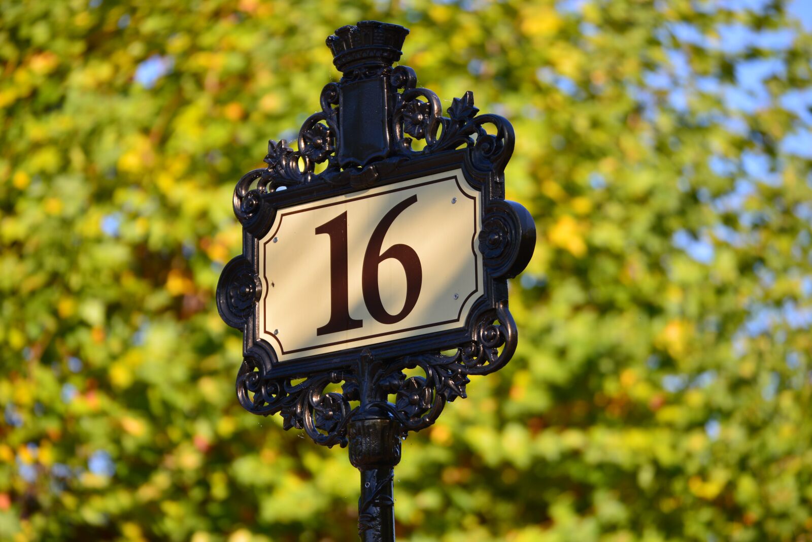Nikon D610 sample photo. Sixteen, number, street photography