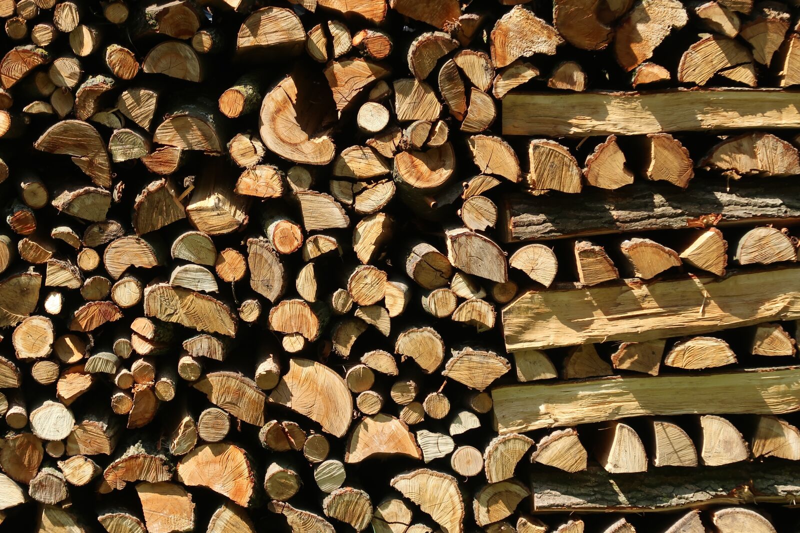 Canon PowerShot G7 X Mark II sample photo. Firewood, holzstapel, wood photography