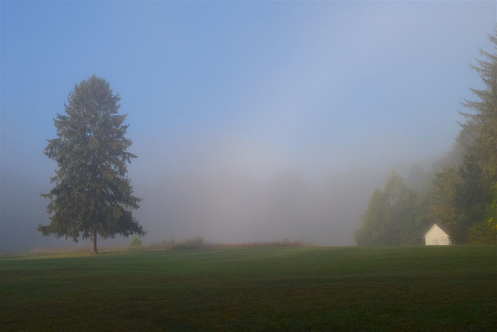Nikon D3300 sample photo. Field, mist, morning photography