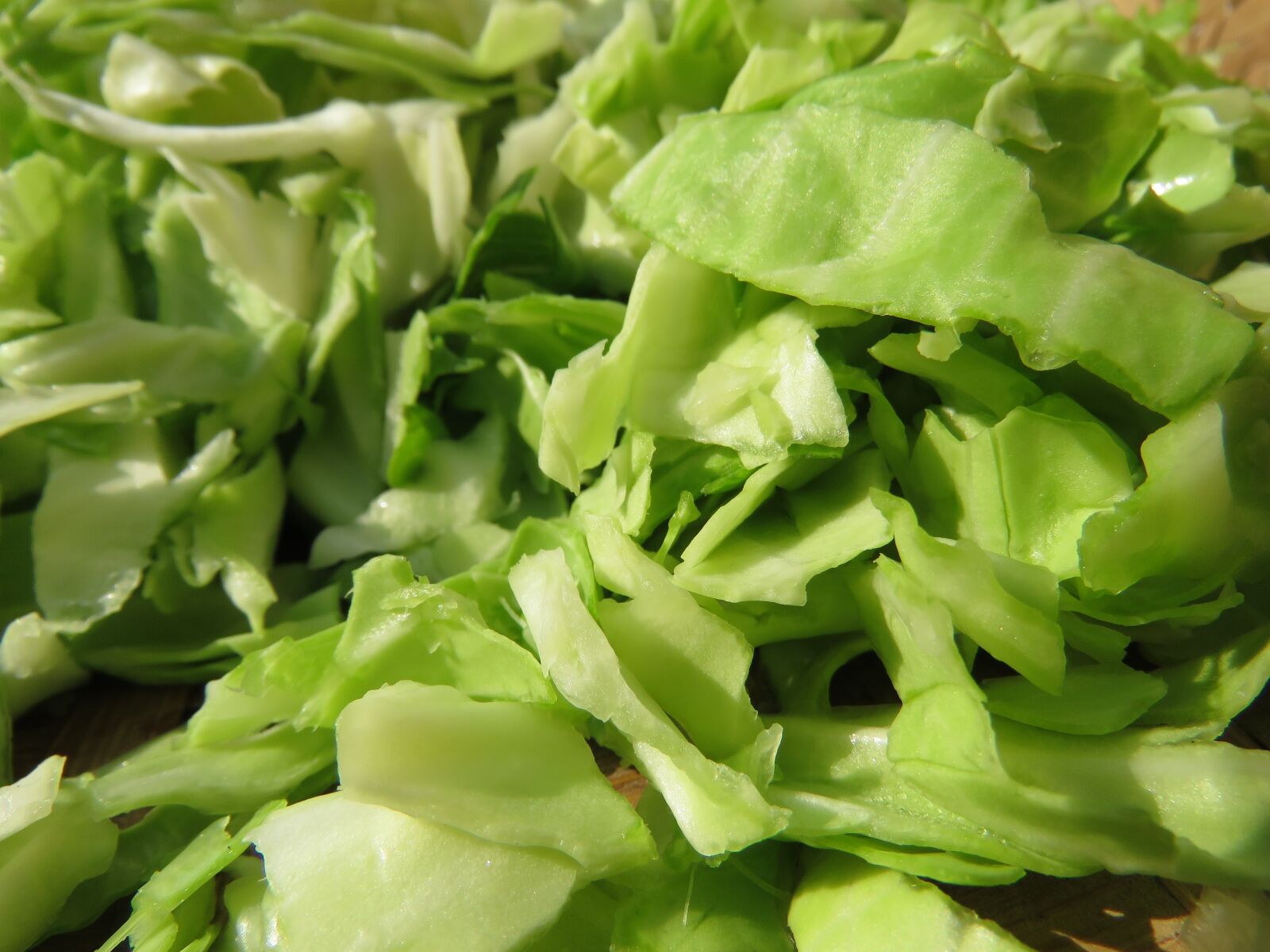 Canon PowerShot SX60 HS sample photo. Sliced cabbage, cabbage, vegetable photography