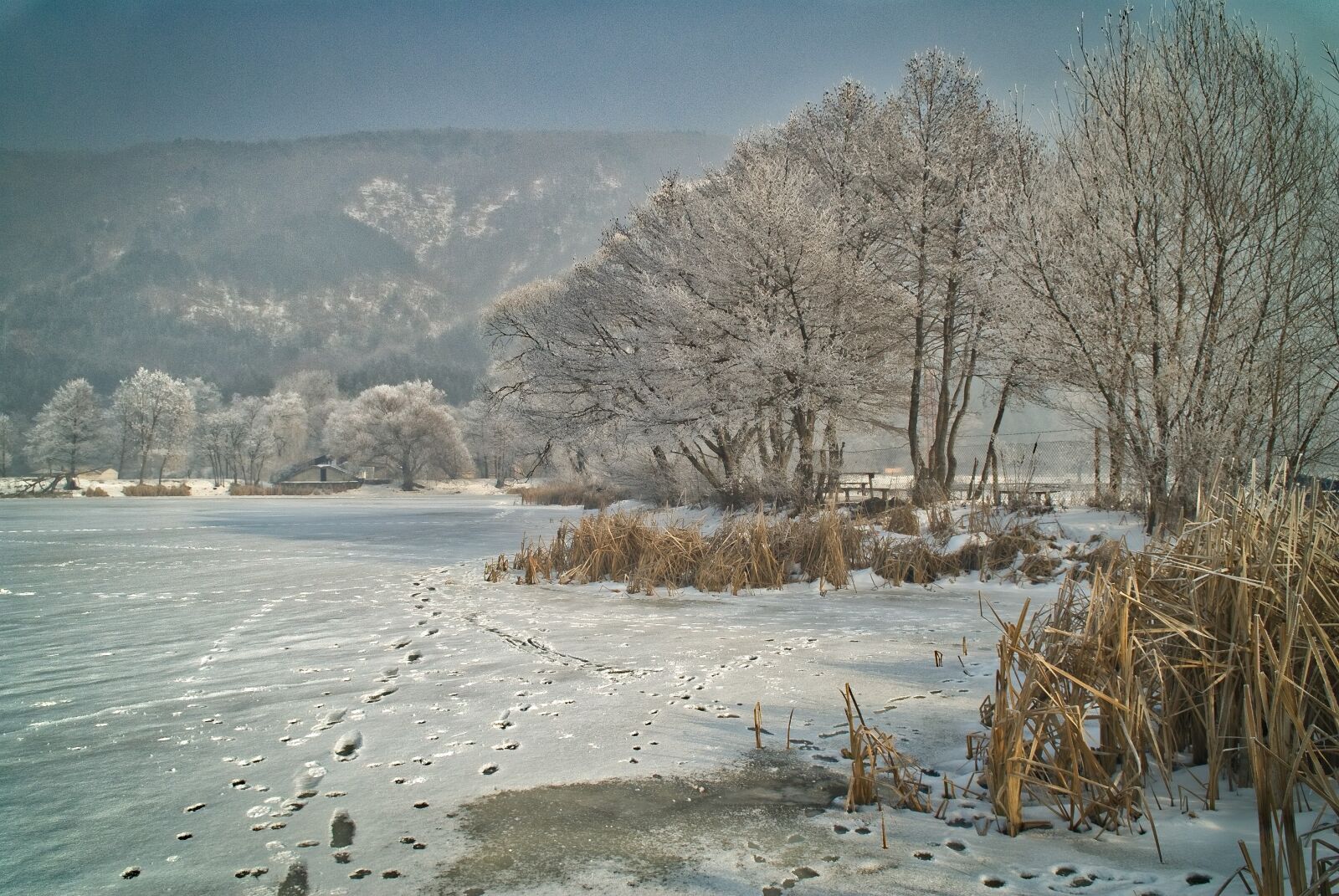 Nikon D200 sample photo. Winter, landscape, snow photography