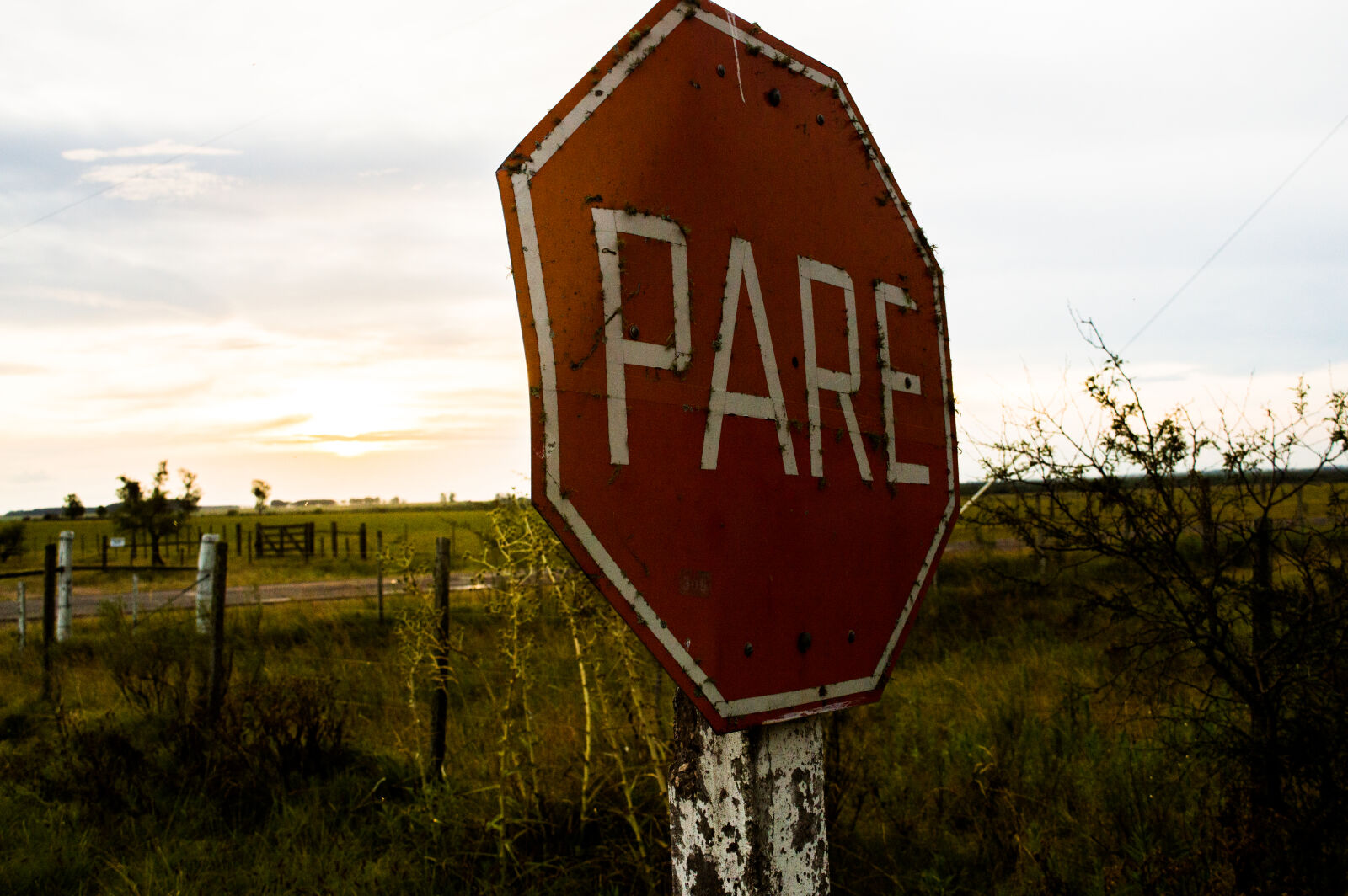 Nikon D3200 sample photo. Sinalization, stop photography
