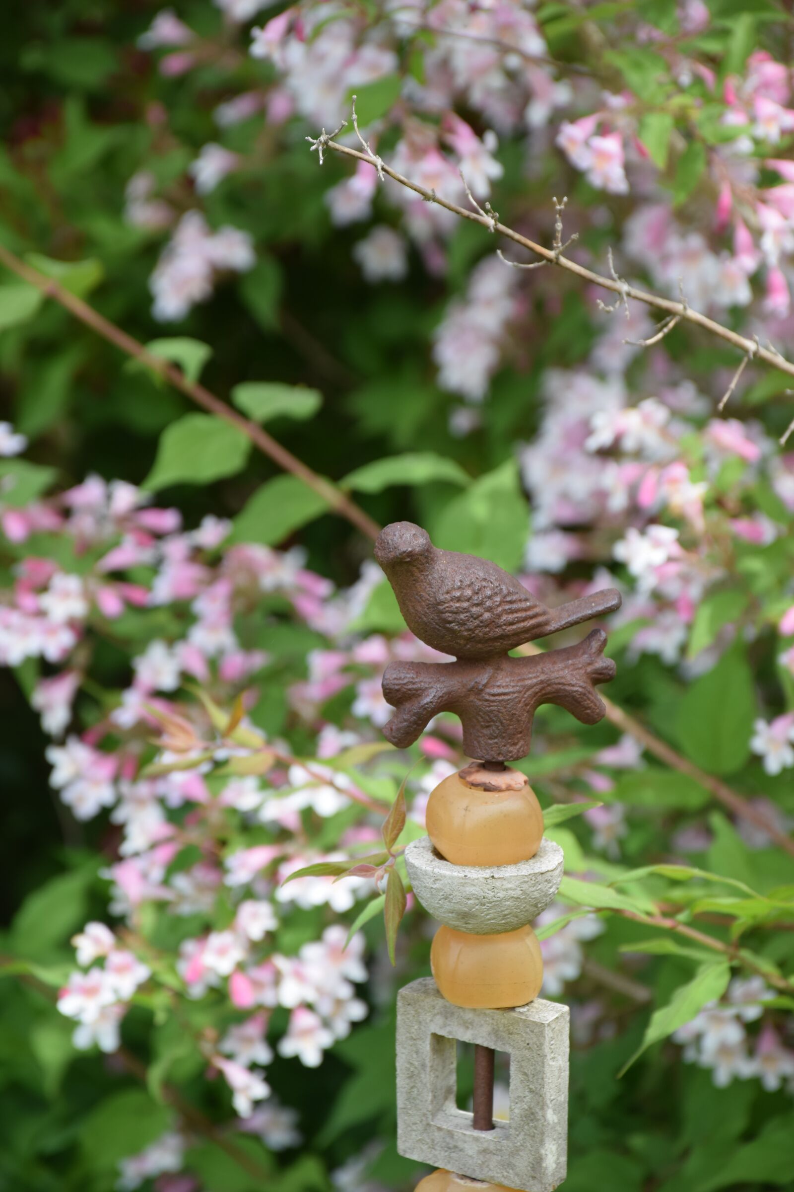 Nikon D5300 sample photo. Summer, flowers, bush photography