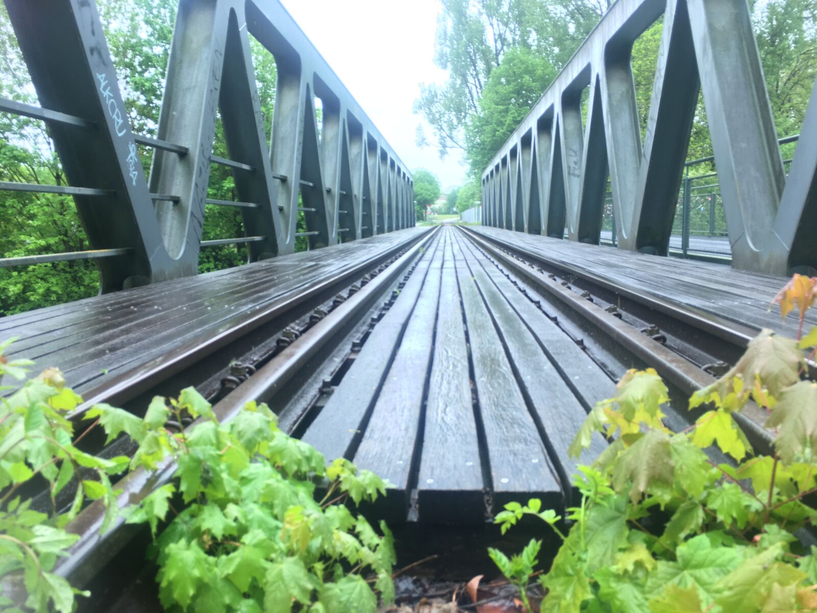 iPhone 6s Plus back camera 4.15mm f/2.2 sample photo. Train, track, bridge photography