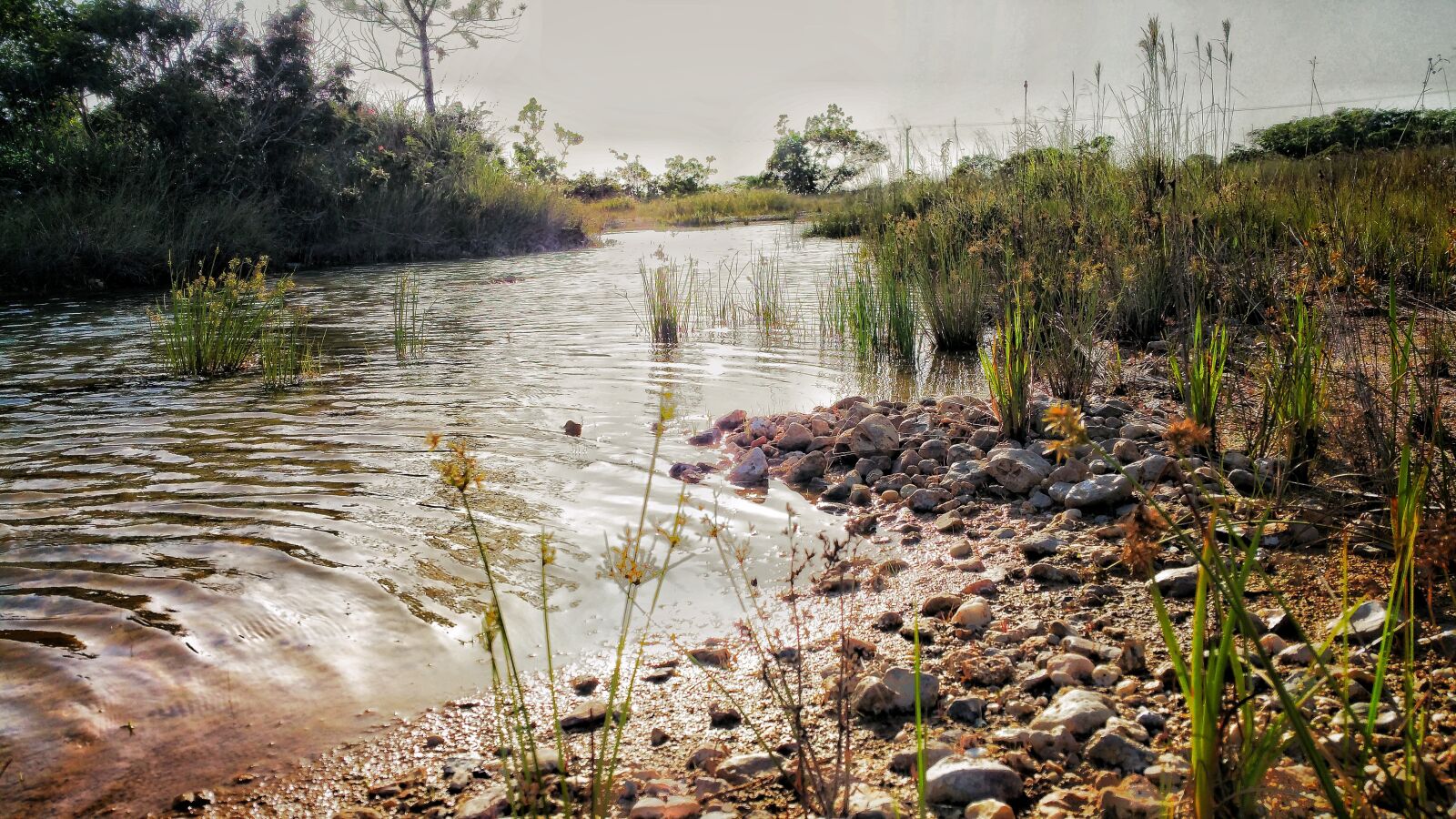 Samsung Galaxy Note4 sample photo. Belize, brook, creek photography
