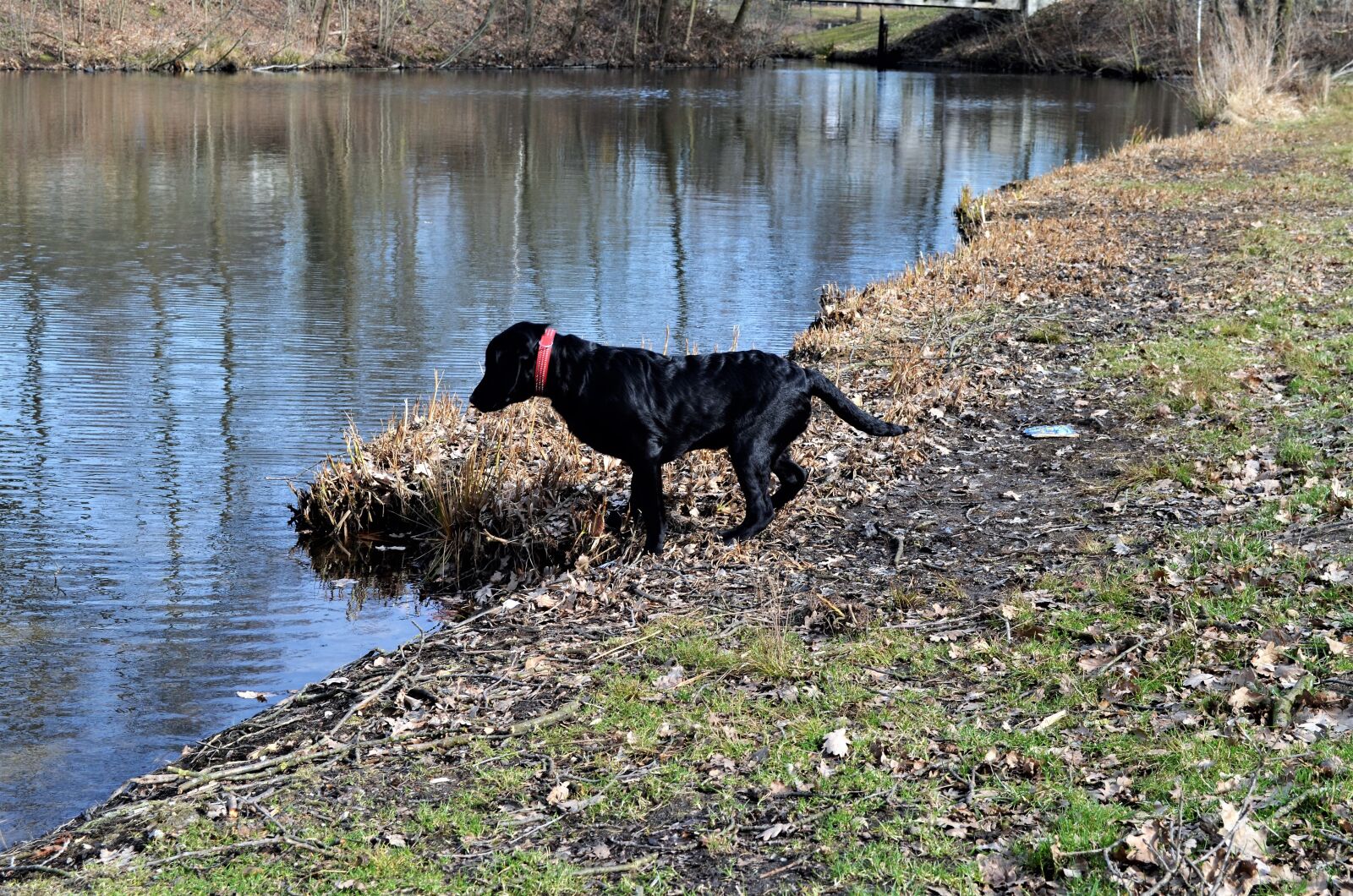 Nikon D5100 sample photo. Body of water, nature photography