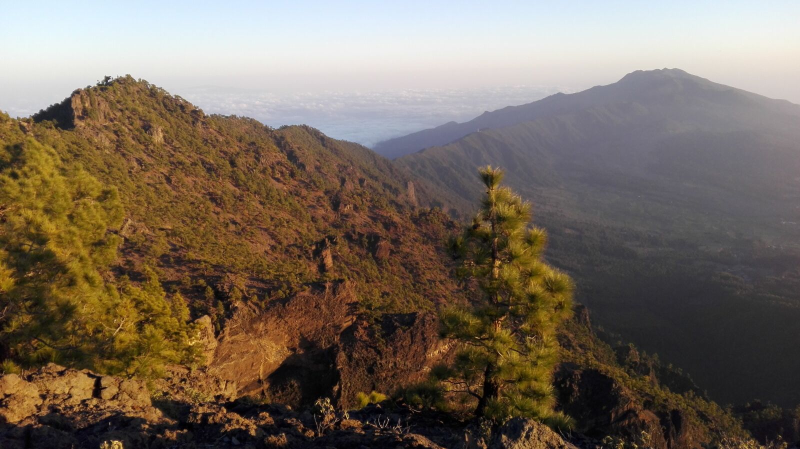 HUAWEI P8 Lite sample photo. La palma, refuge, green photography